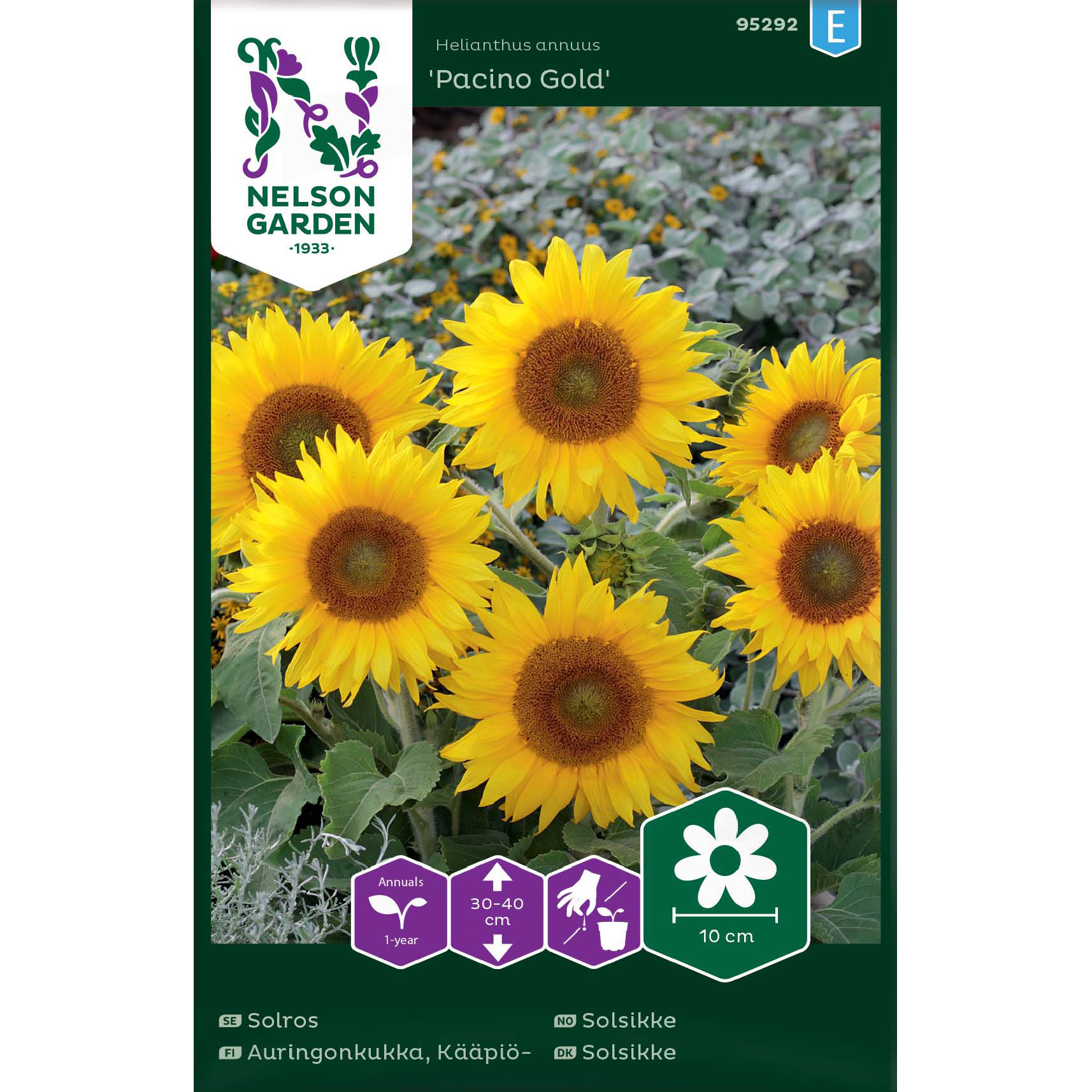 Solsikke 'Pacino Gold'