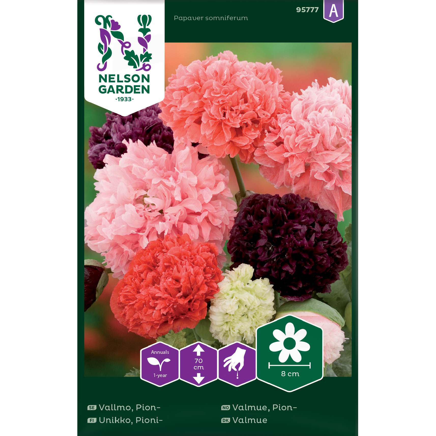 Vallmo, Pion-, bl färger