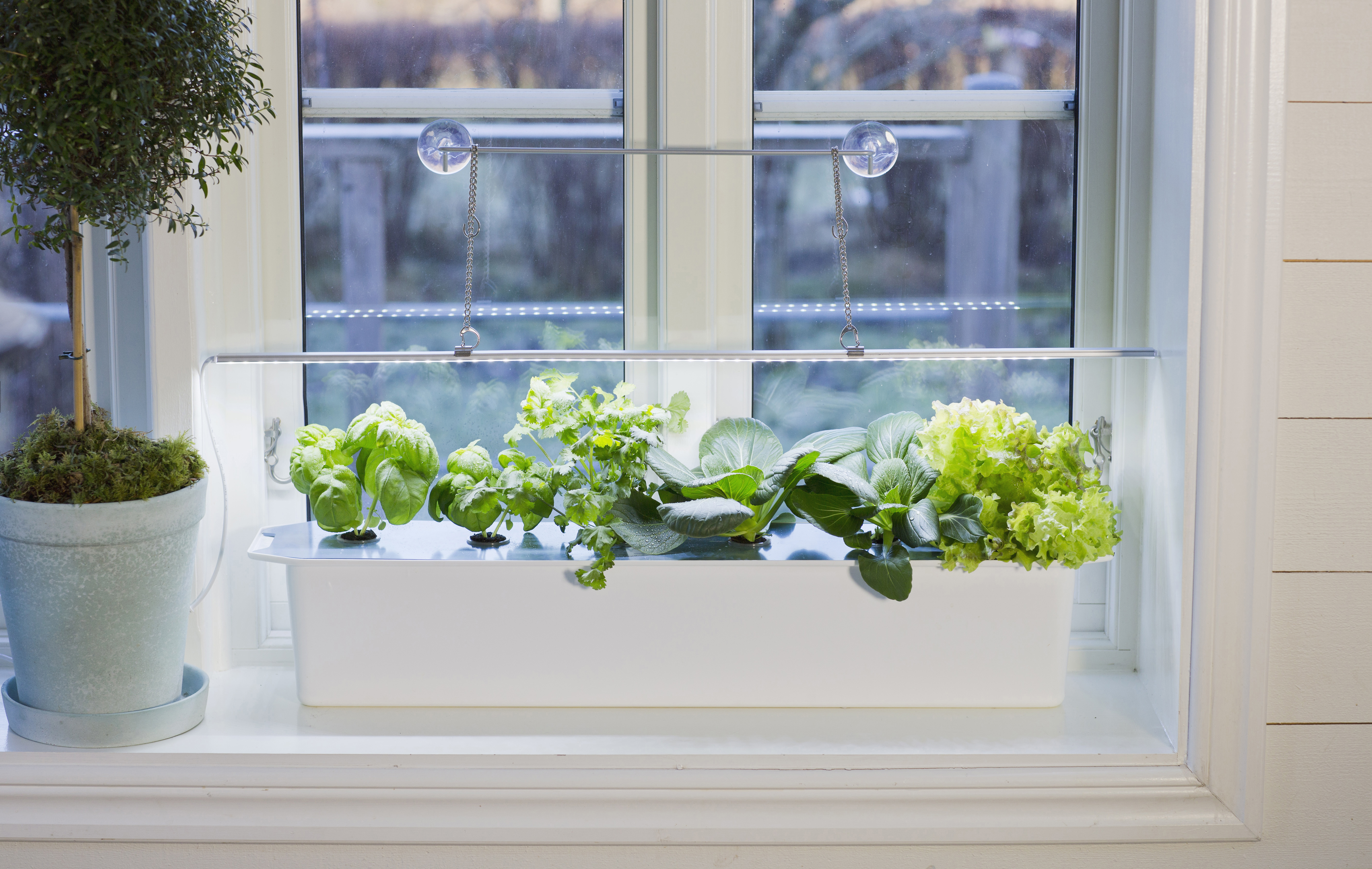 Plantelys LED No.1 85cm 23W med adapter