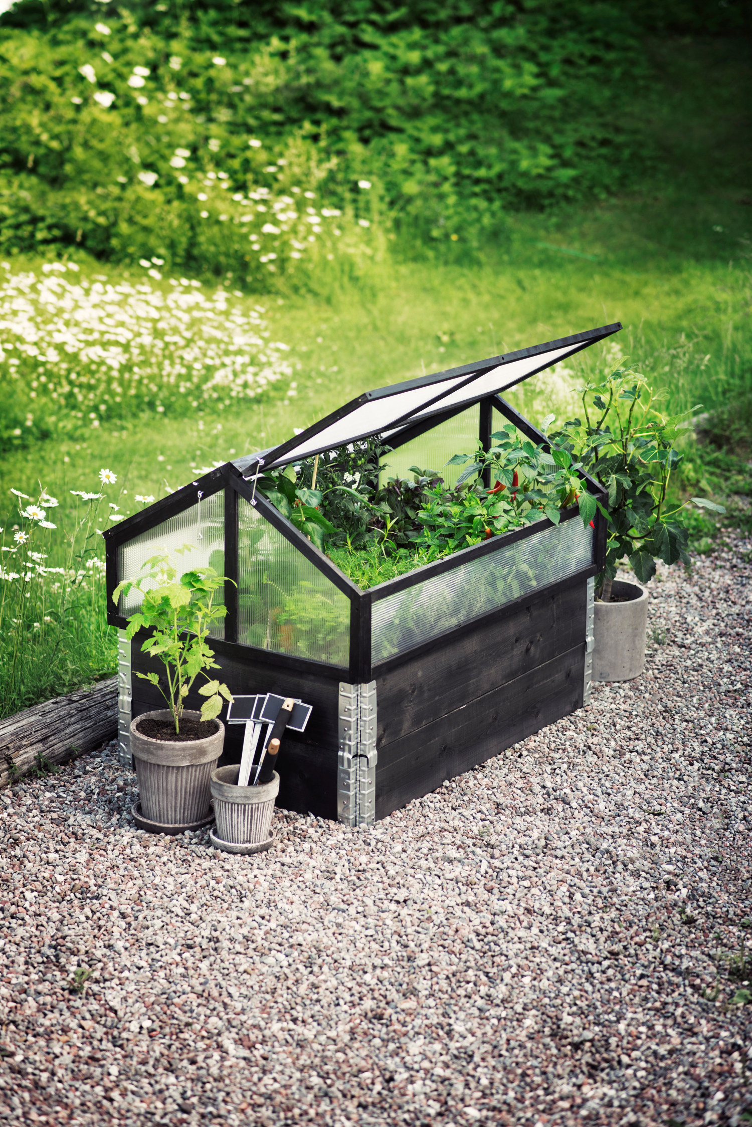 Stina Green House