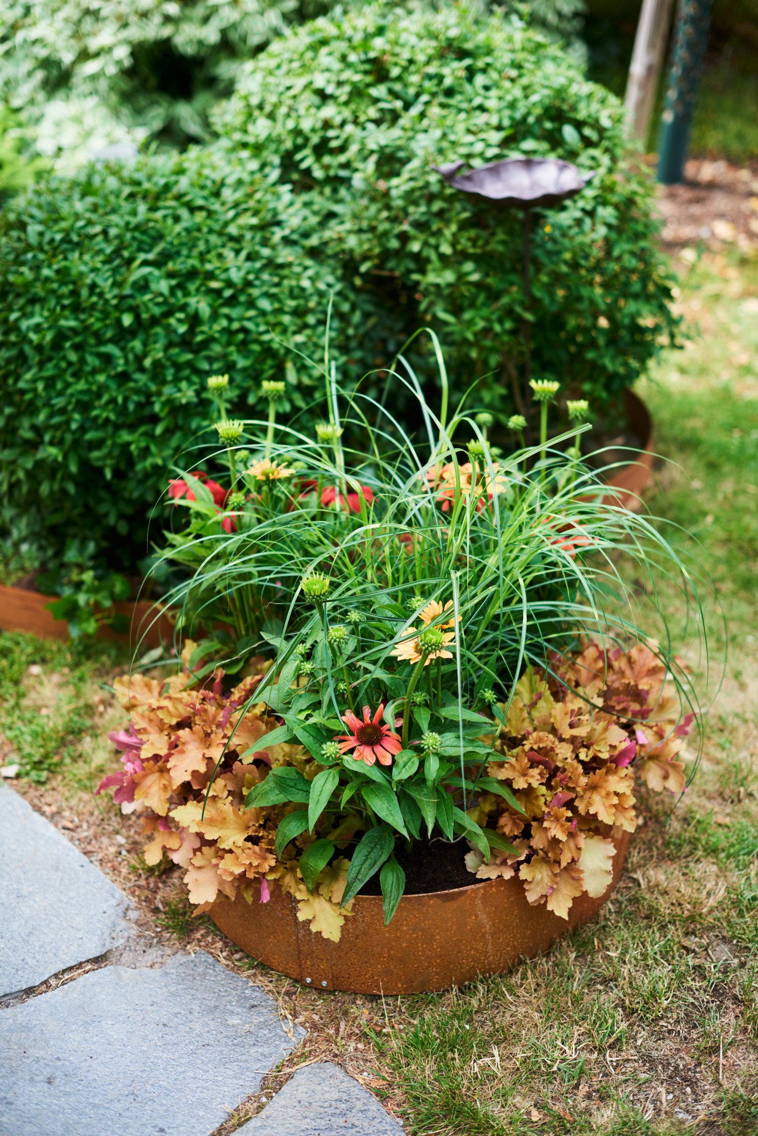 Dyrkekarm i ubehandlet jern