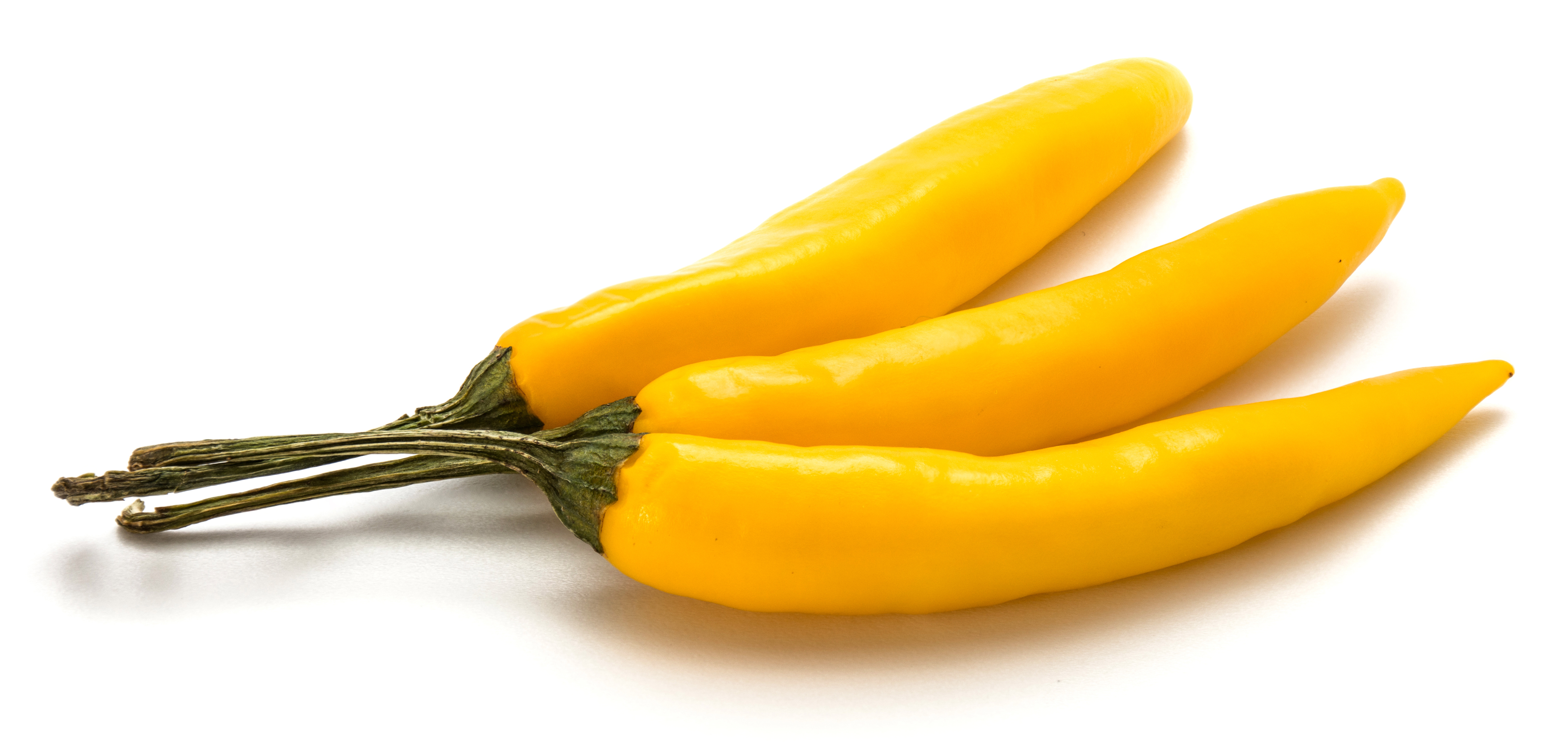 Chili 'Lemon Drop Chili'