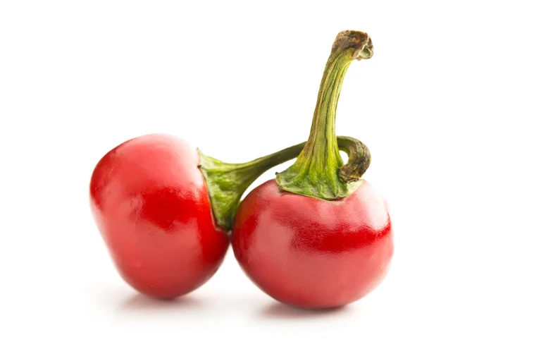 Chilipaprika Hungarian Round