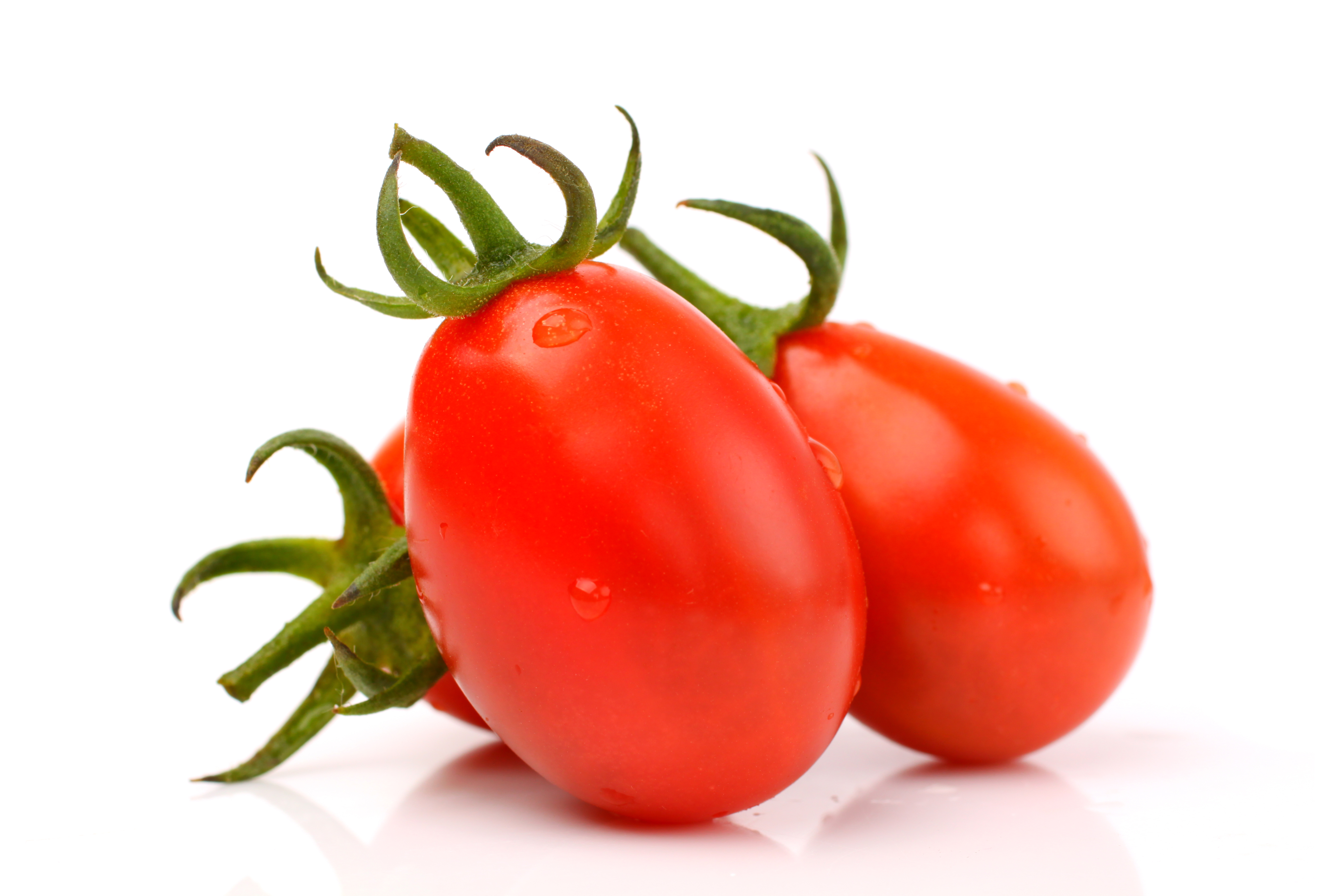 Plommetomat 'Dadel Dasher'