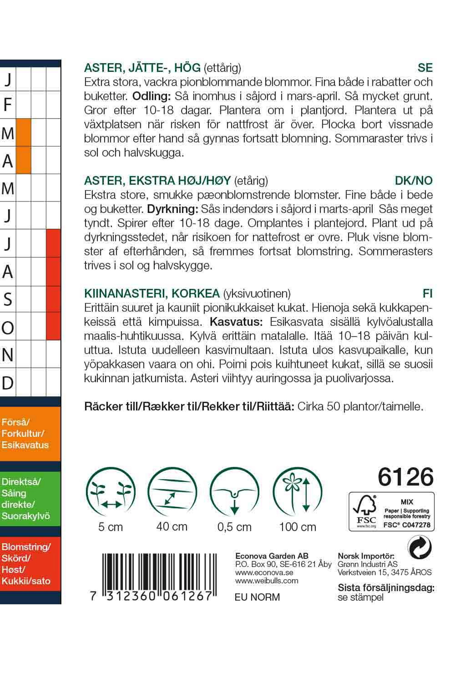 Sommaraster 'King Size White'