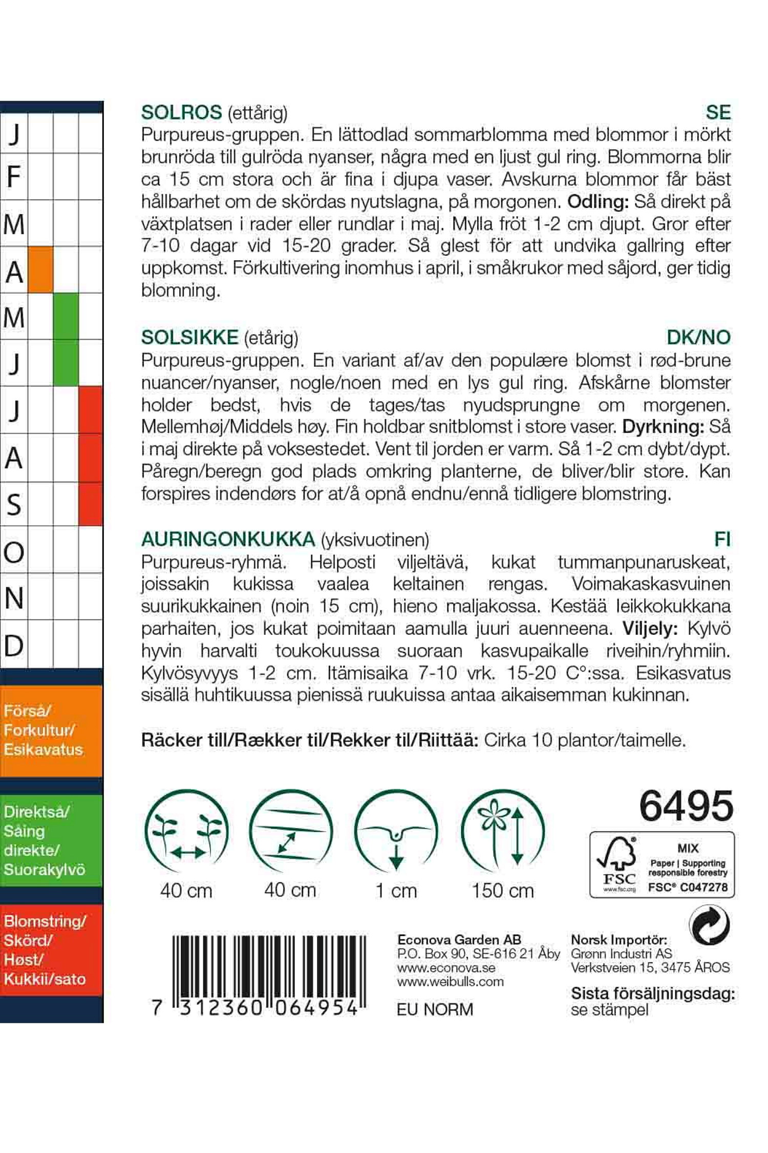 Solros 'Evening Sun'