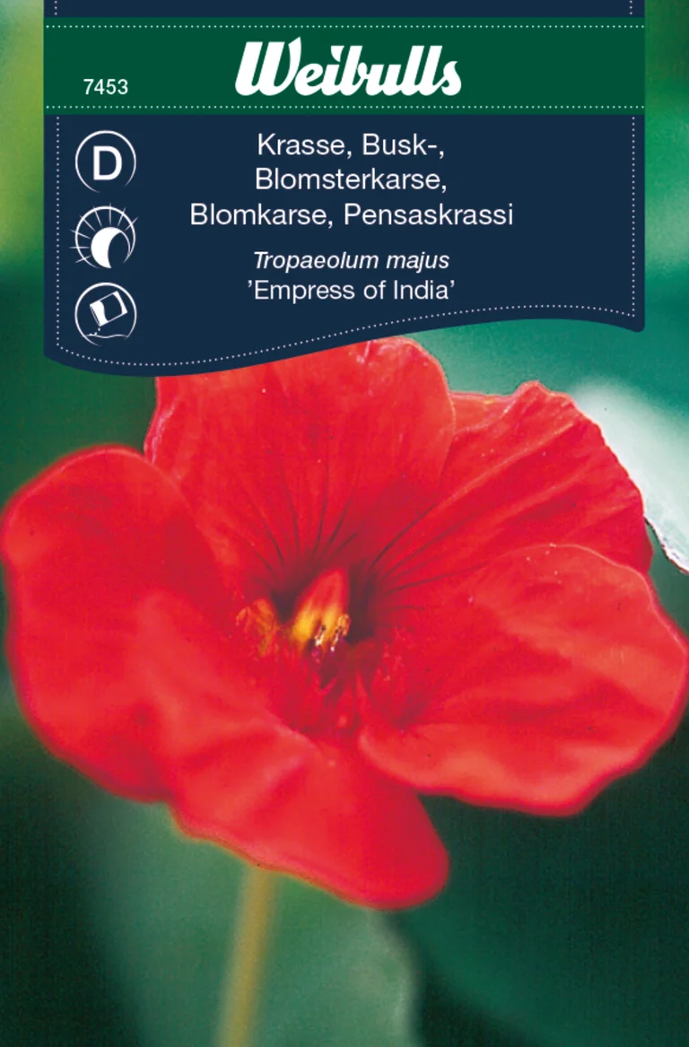 Buskkrasse Empress Of India