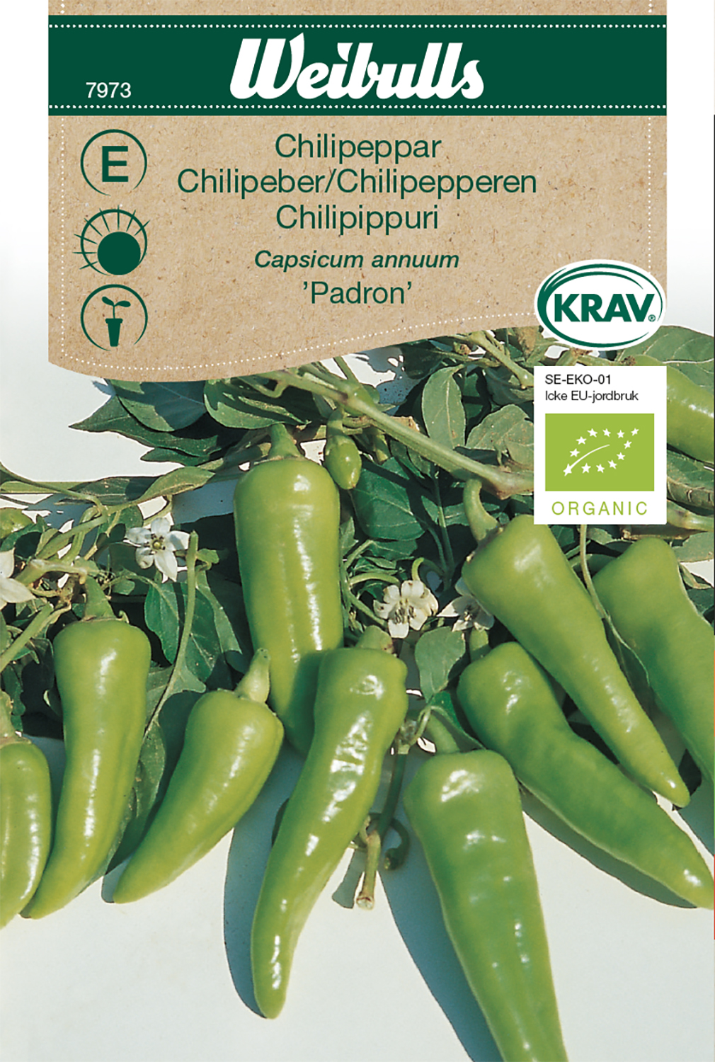 Chilipepper 'Padron' KRAV