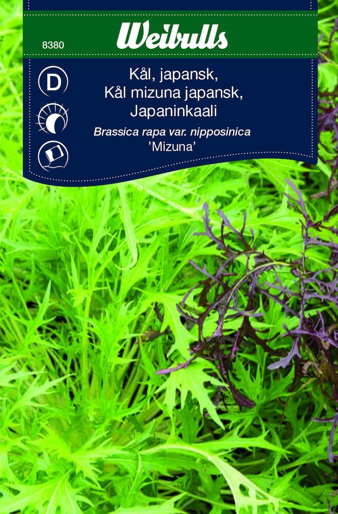 Japansk kål 'Mizuna'