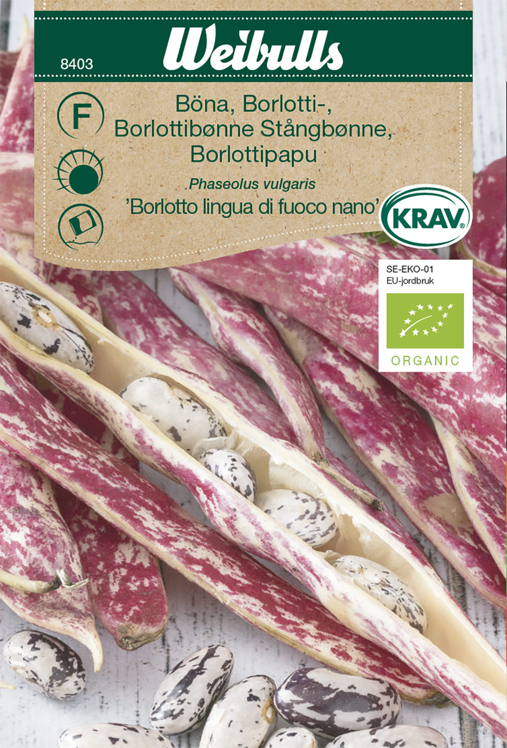 Böna 'Borlotto' KRAV