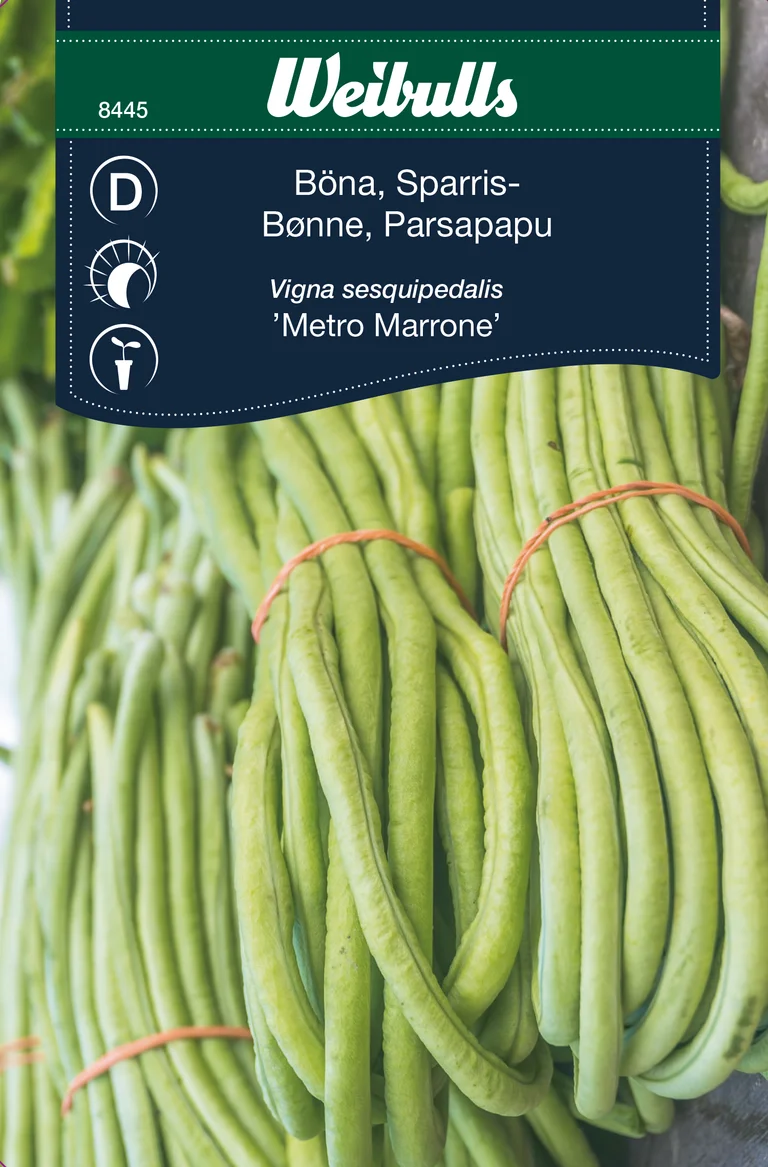 Sparrisböna Metro Marrone