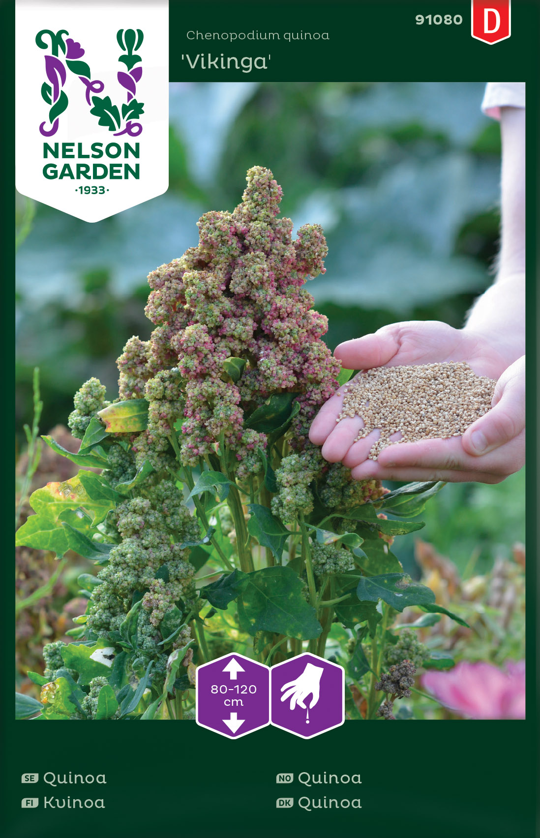 Vikingaquinoa