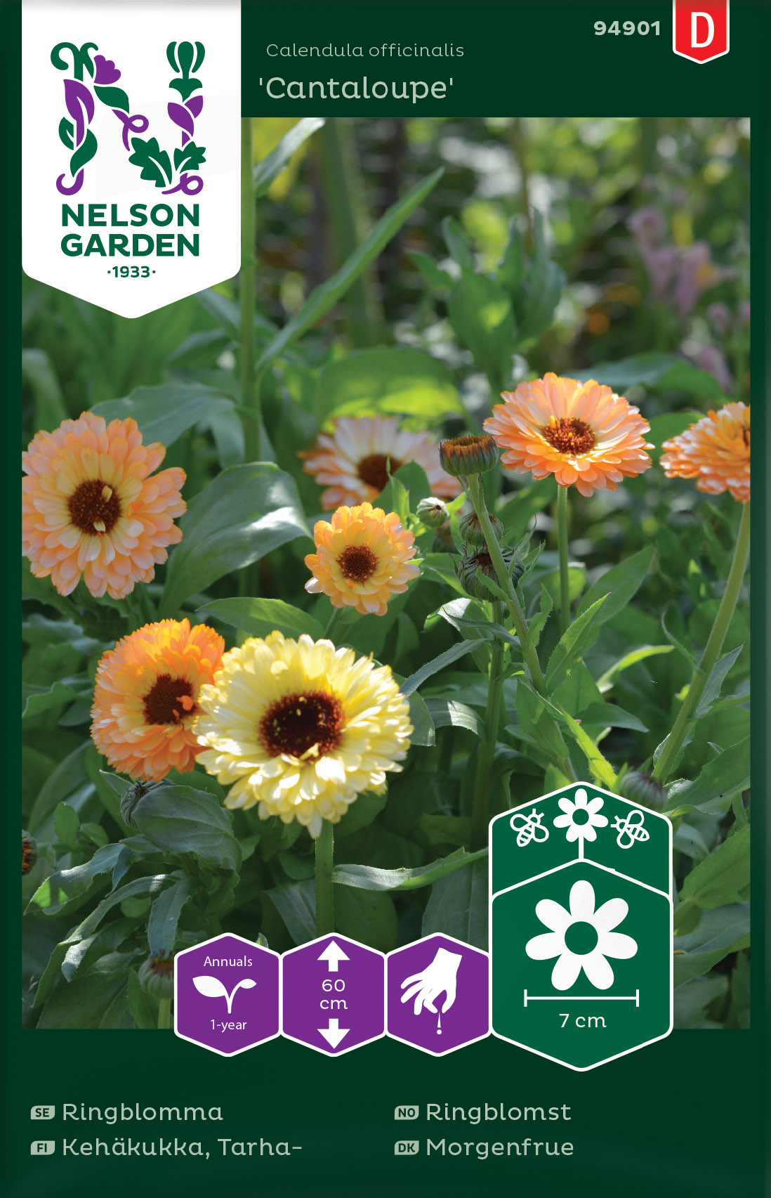 Ringblomst 'Cantaloupe'