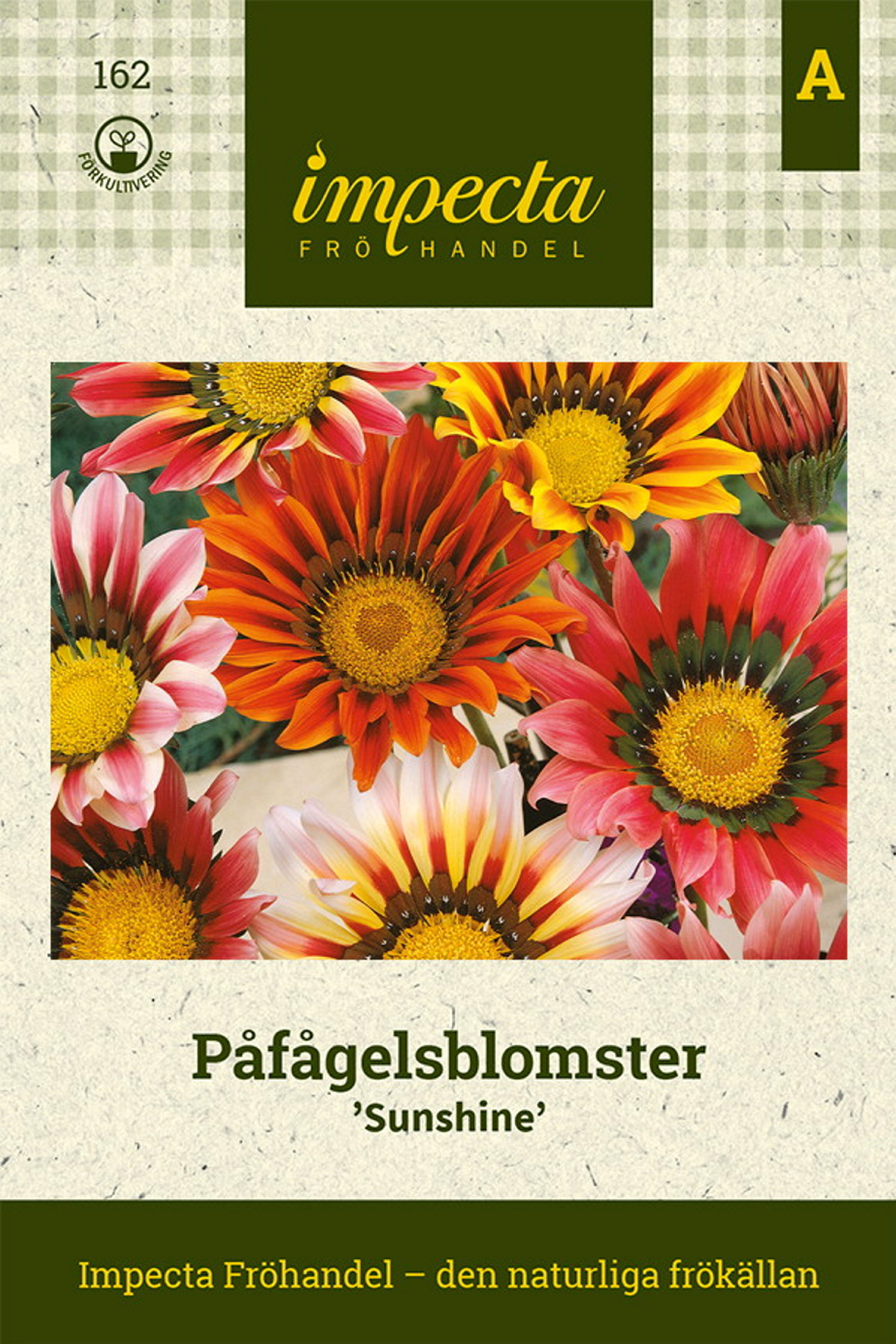 Påfuglblomster 'Sunshine'