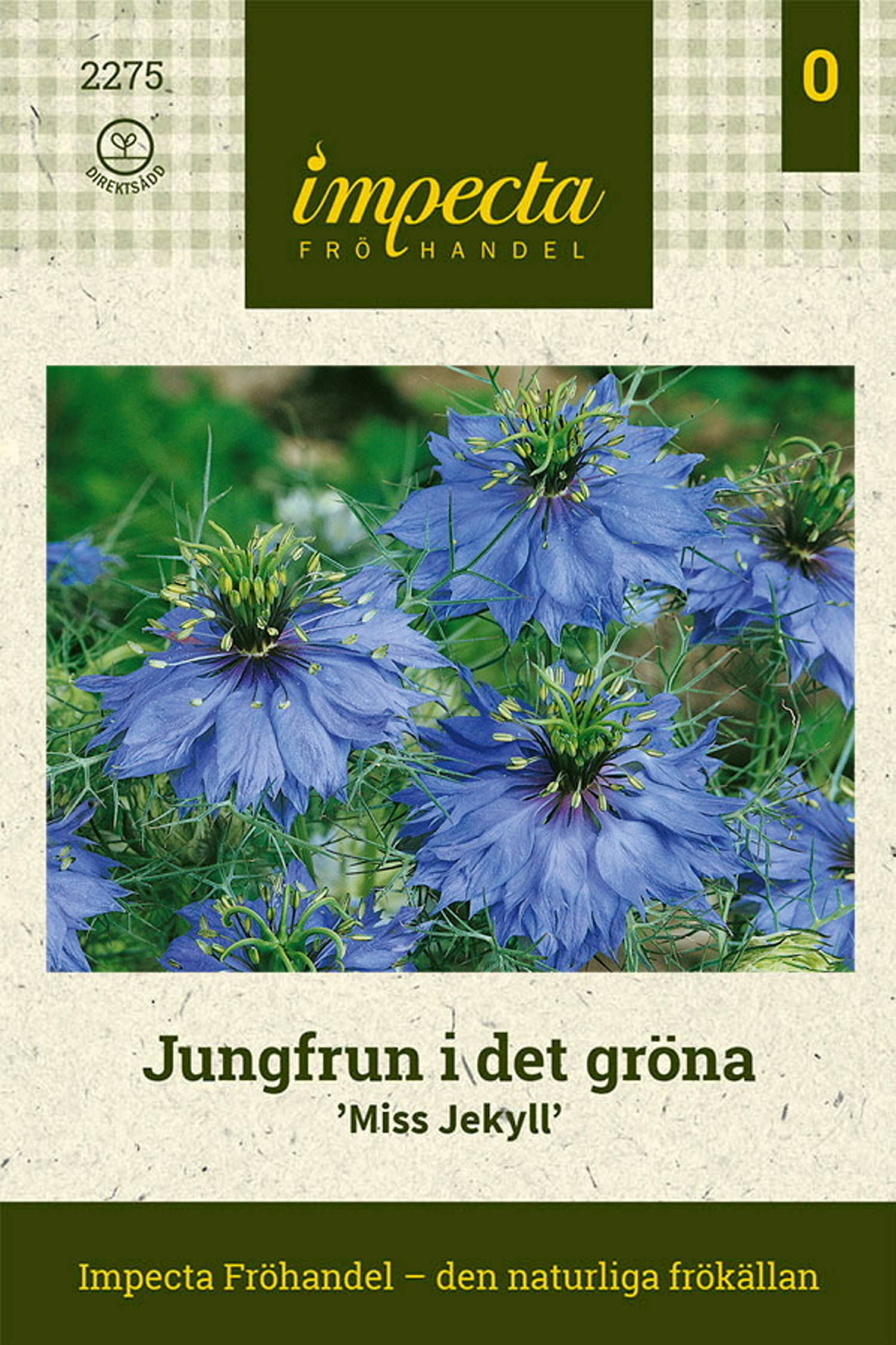 Jungfrun i det gröna 'Miss Jekyll'