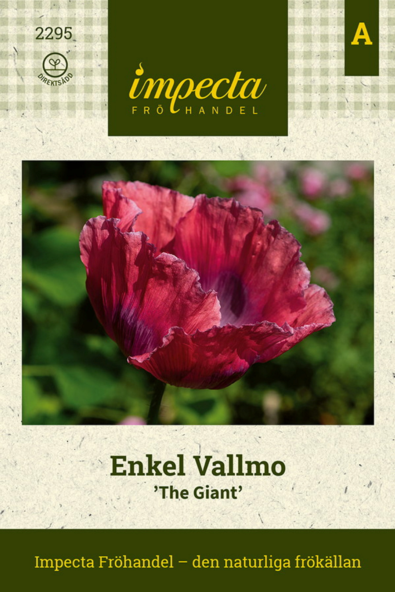 Enkel Vallmo 'The Giant'