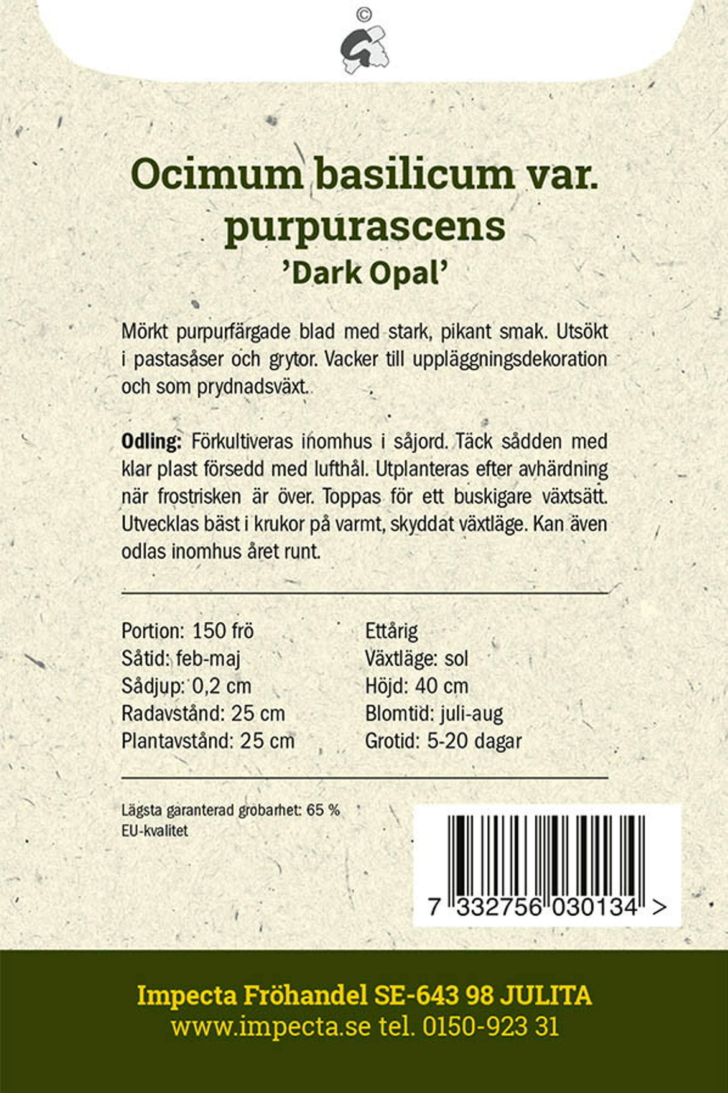 Ocimum basilicum var. purpurascens 'Dark Opal'