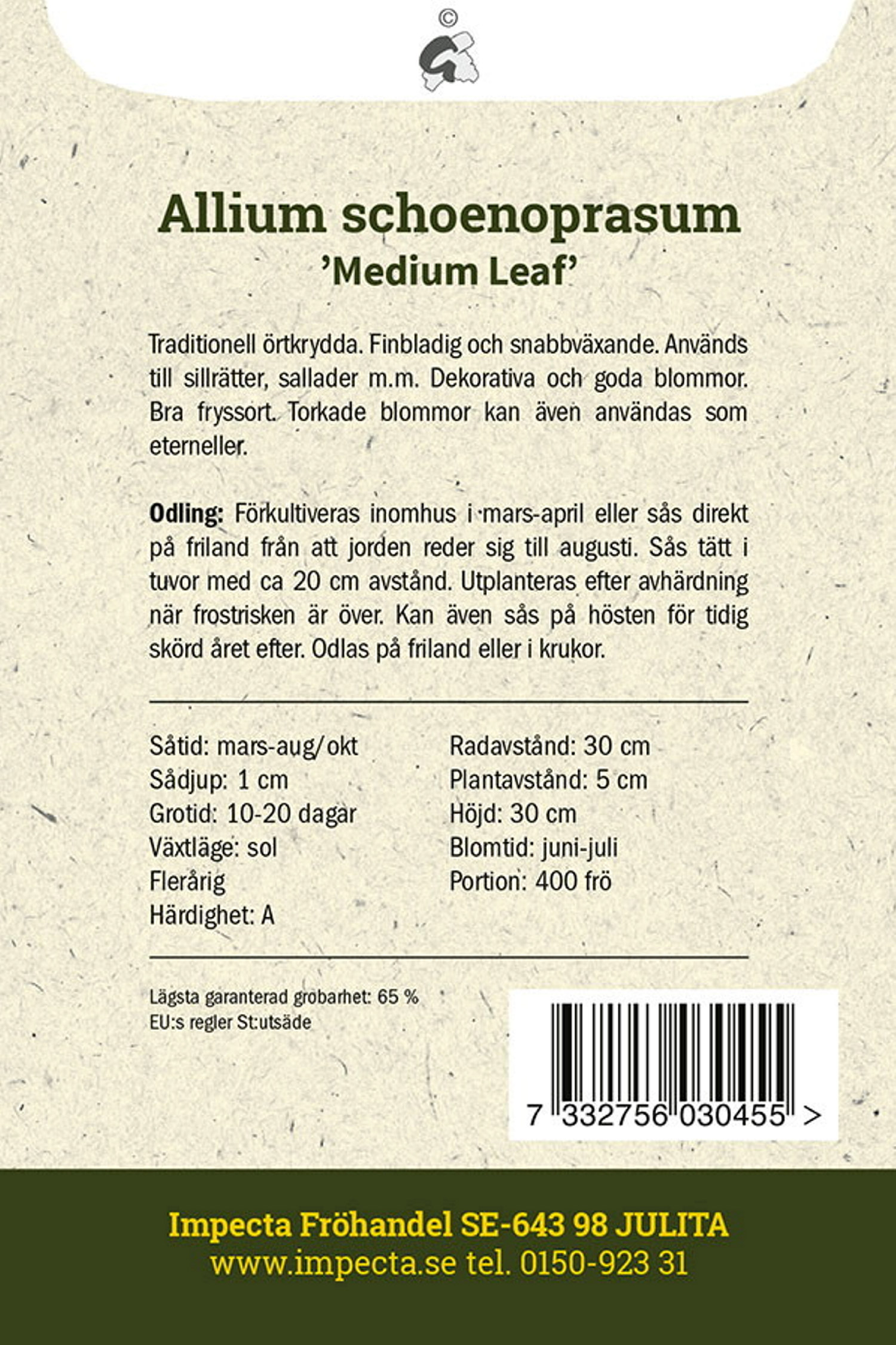 Gräslök 'Medium Leaf'
