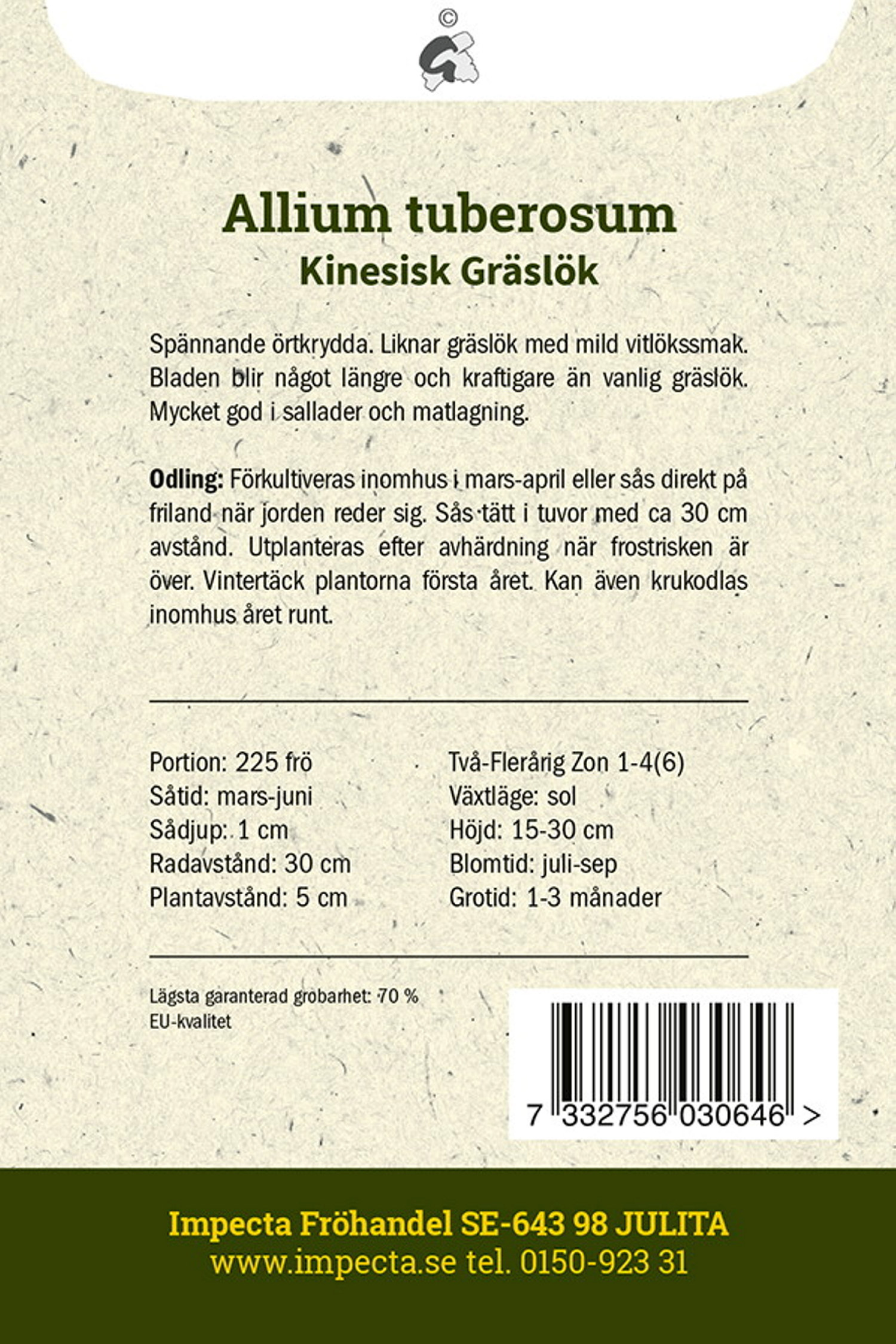 Kinesisk Gräslök