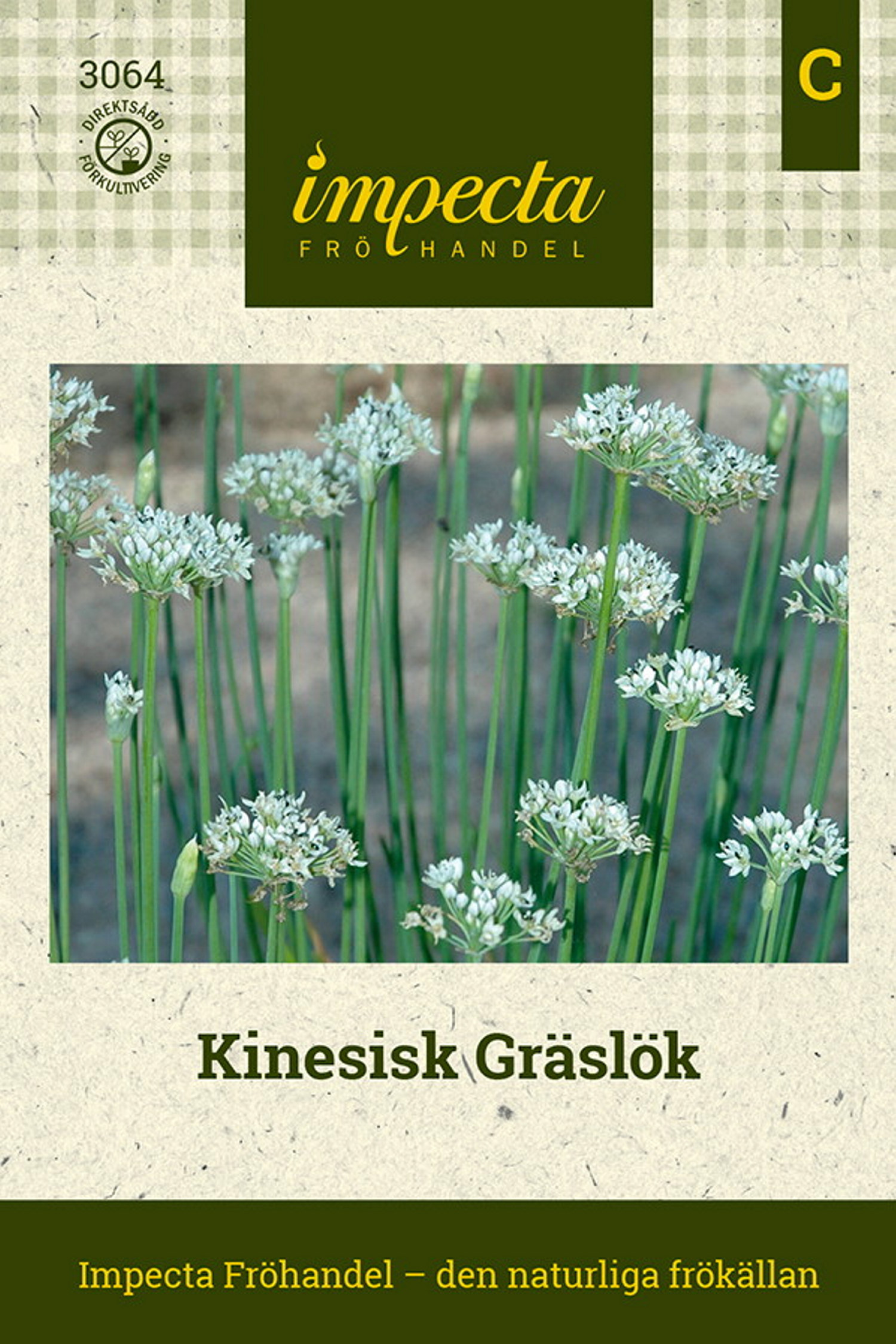 Kinesisk Gräslök