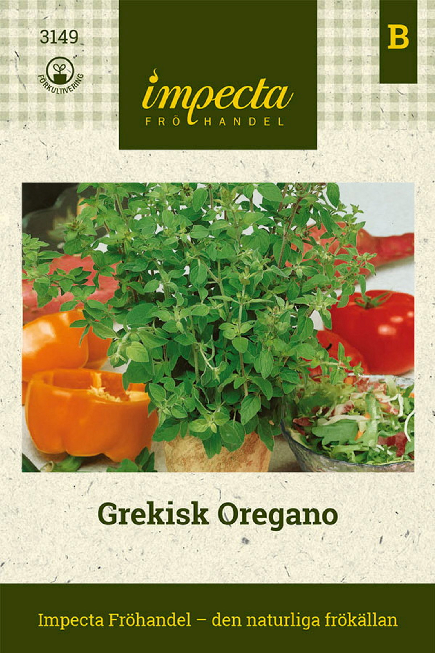 Grekisk Oregano