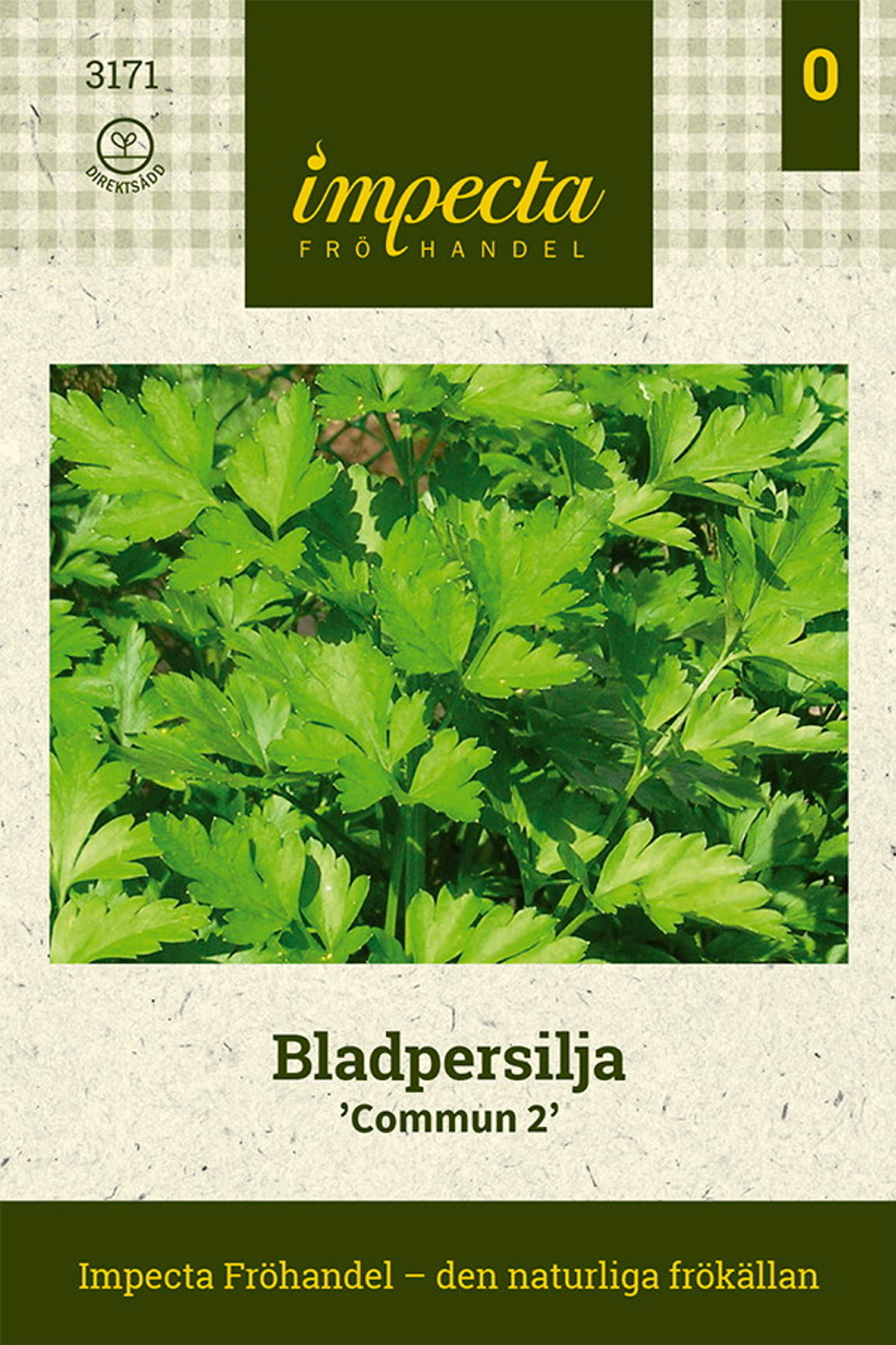 Bladpersilja 'Plain Leaved 2'