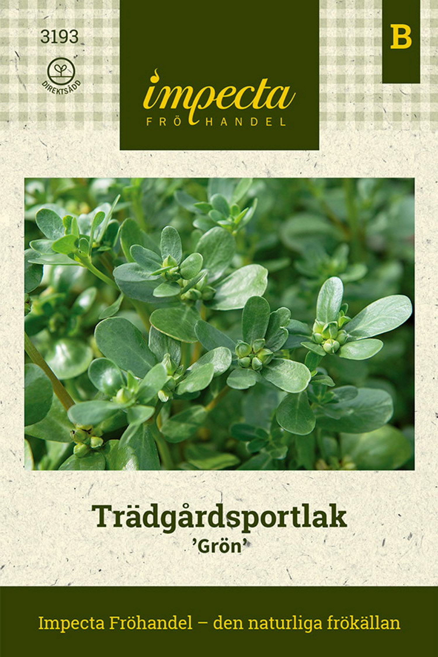 Trädgårdsportlak 'Grön'