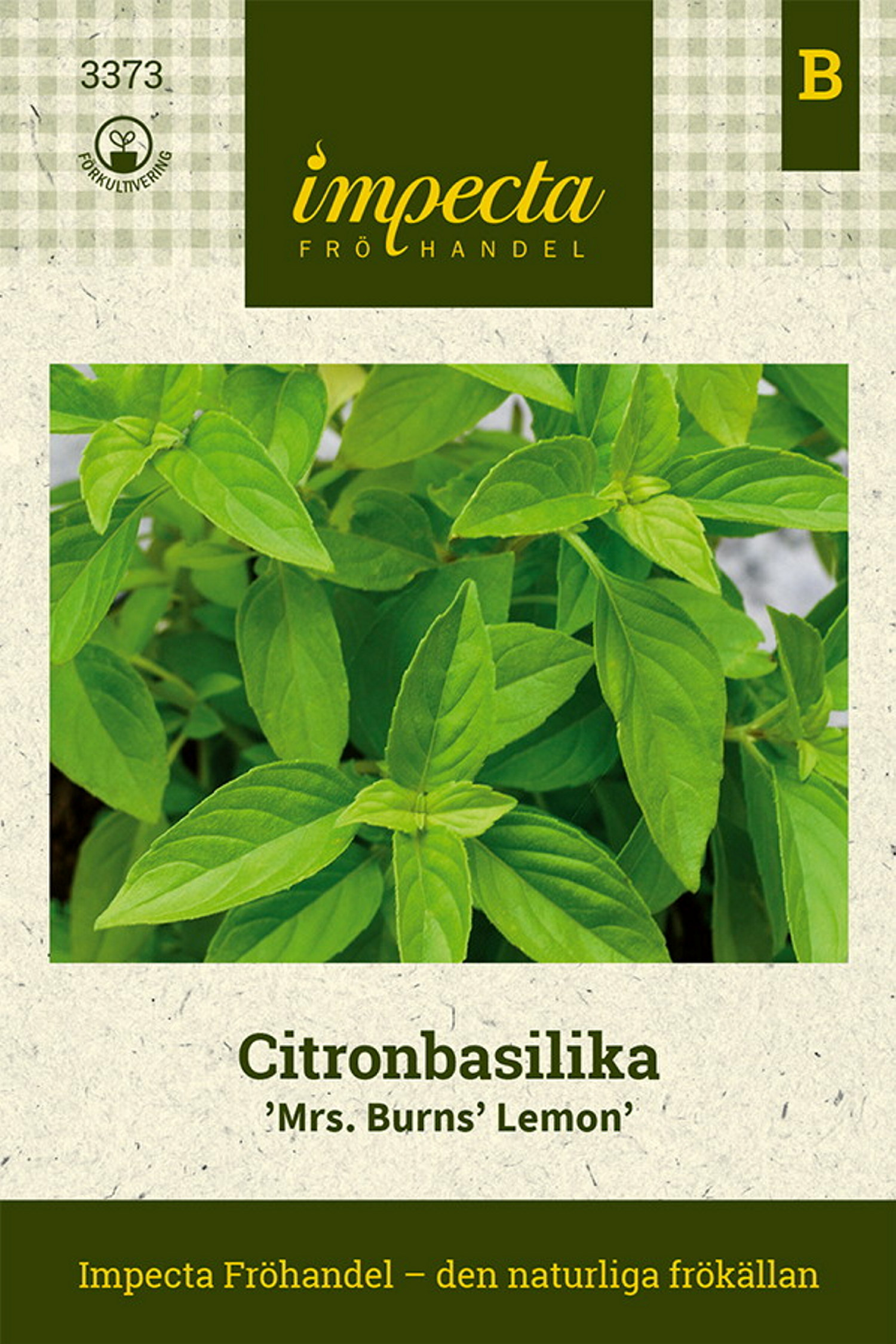 Citronbasilika 'Mrs. Burns' Lemon'