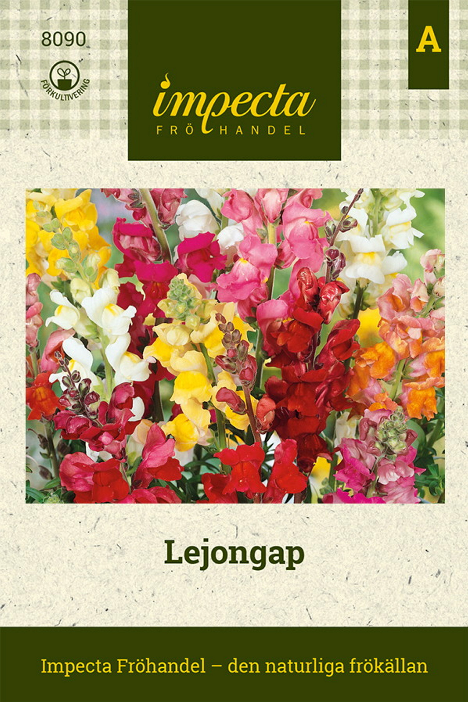 Lejongap 'Colossal Tip Top'