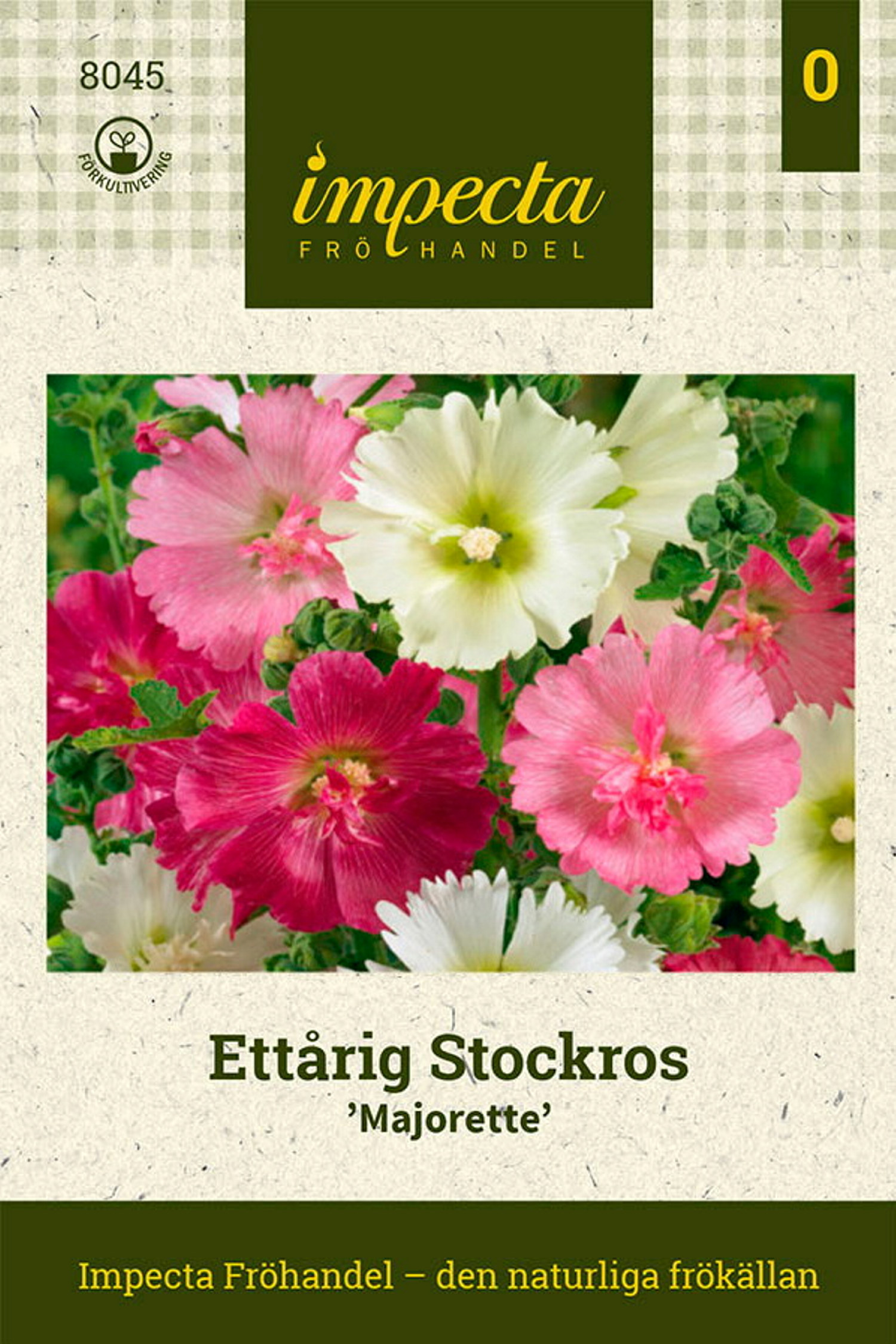 Alcea rosea 'Majorette'