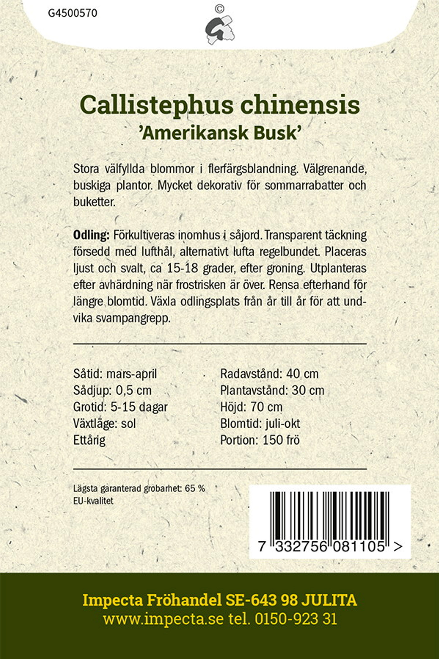 Sommaraster 'Amerikansk Busk'