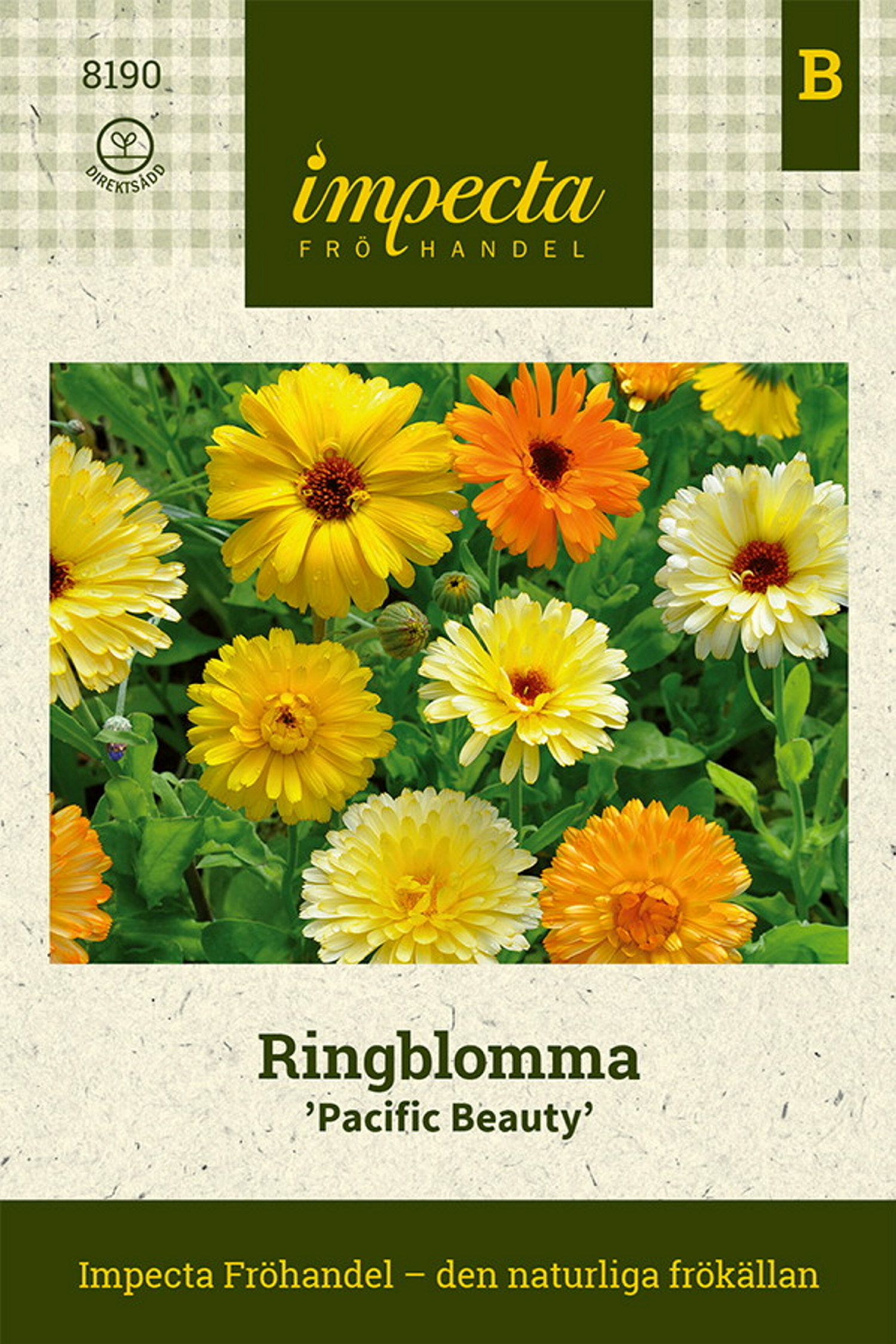 Ringblomma 'Pacific Beauty'