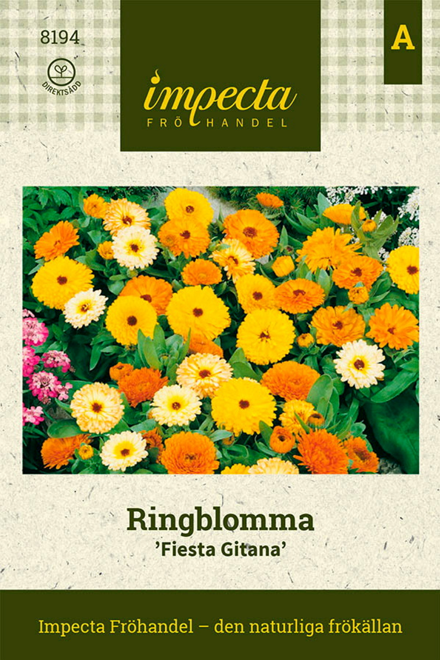 Ringblomma 'Fiesta Gitana'