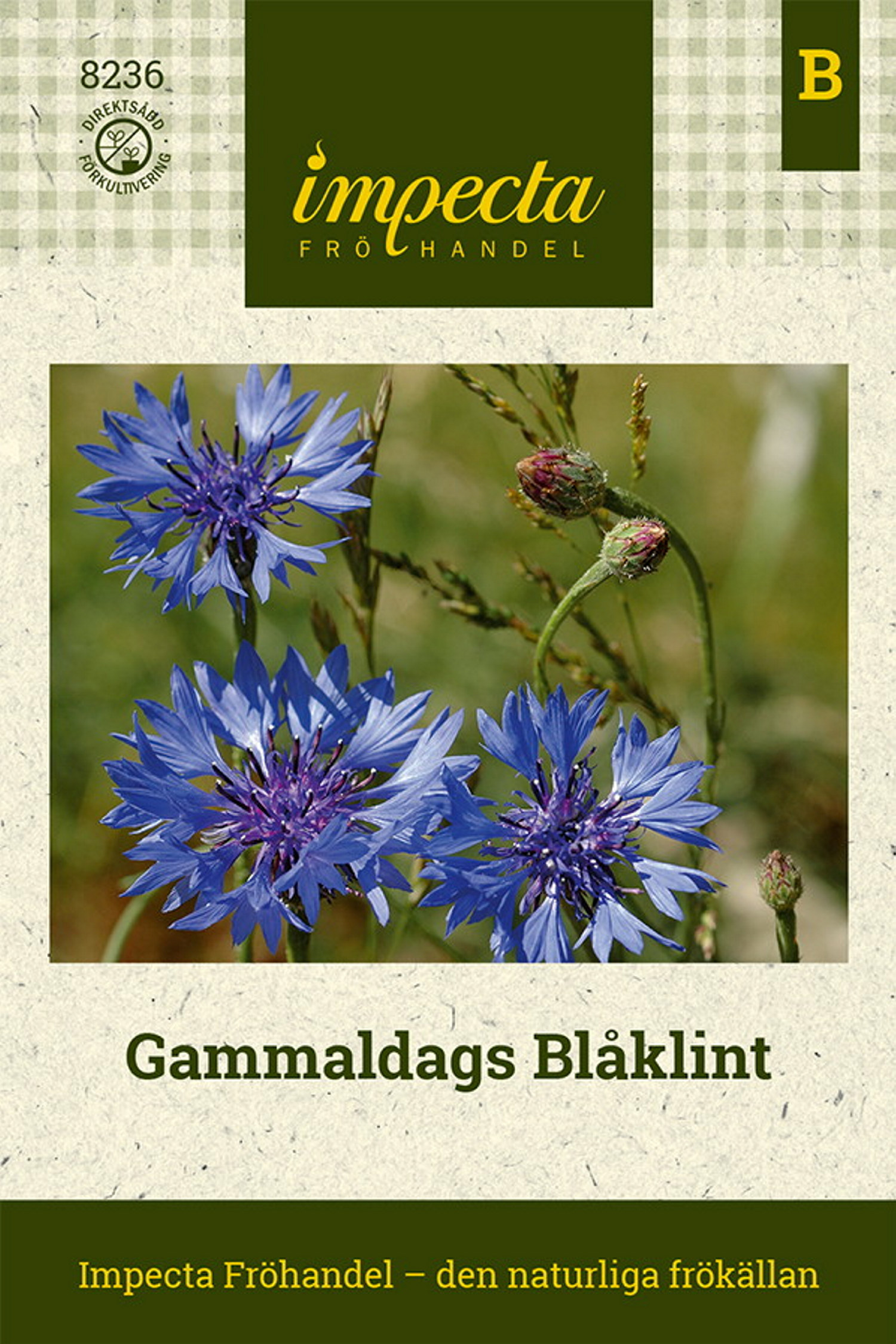 Gammeldags blåklokke