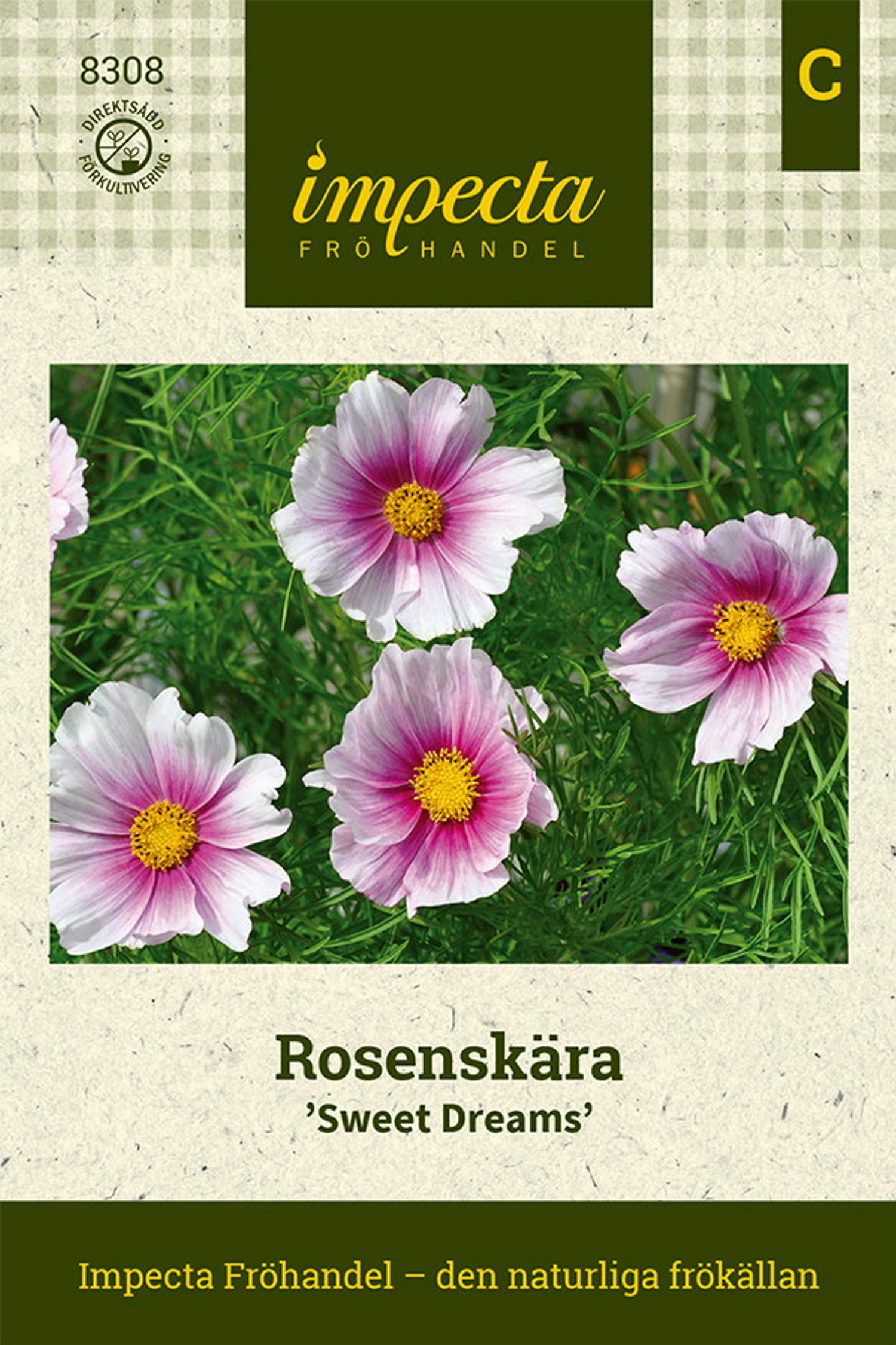 Rosenskära 'Sweet Dreams'