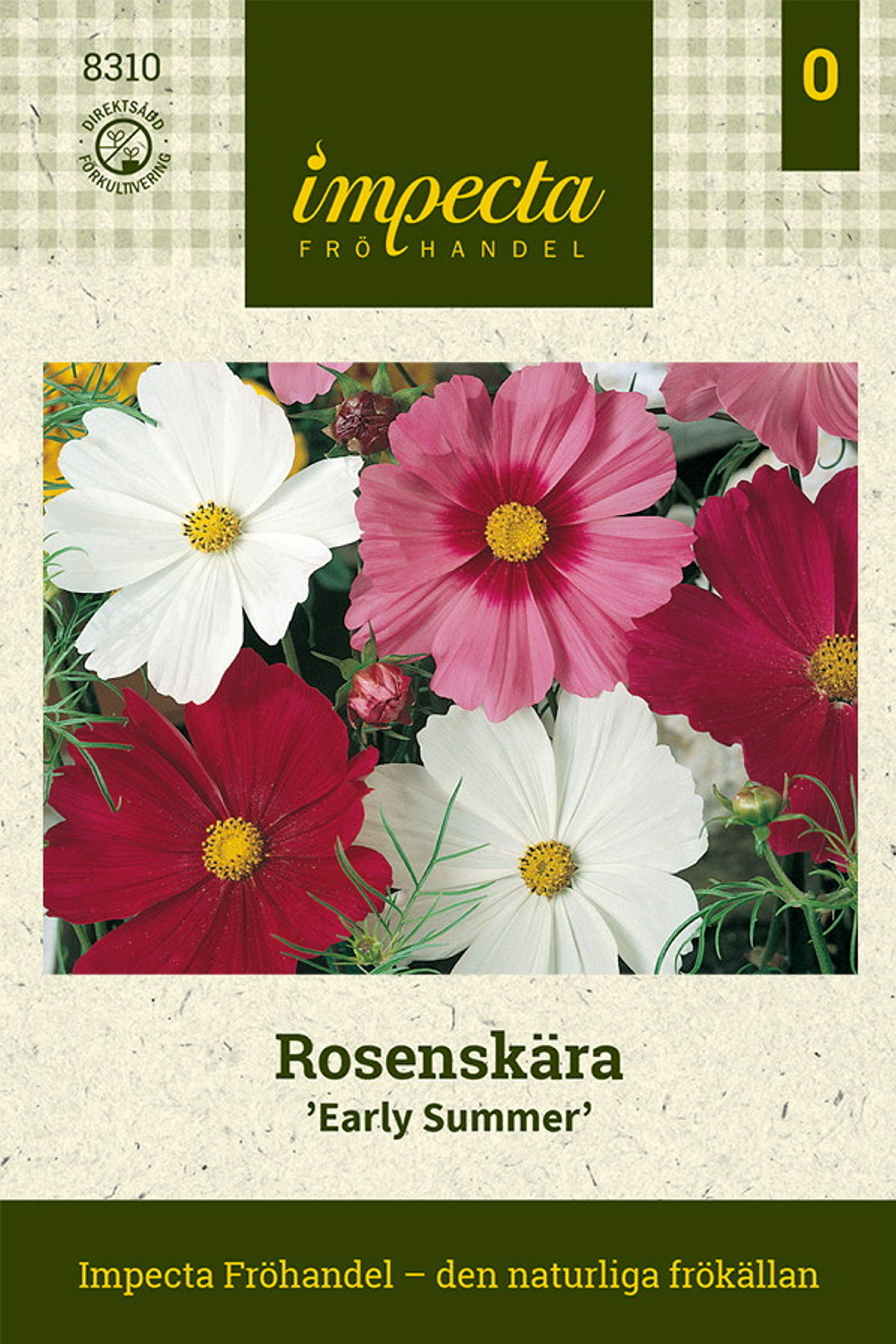 Rosenskära 'Early Summer'