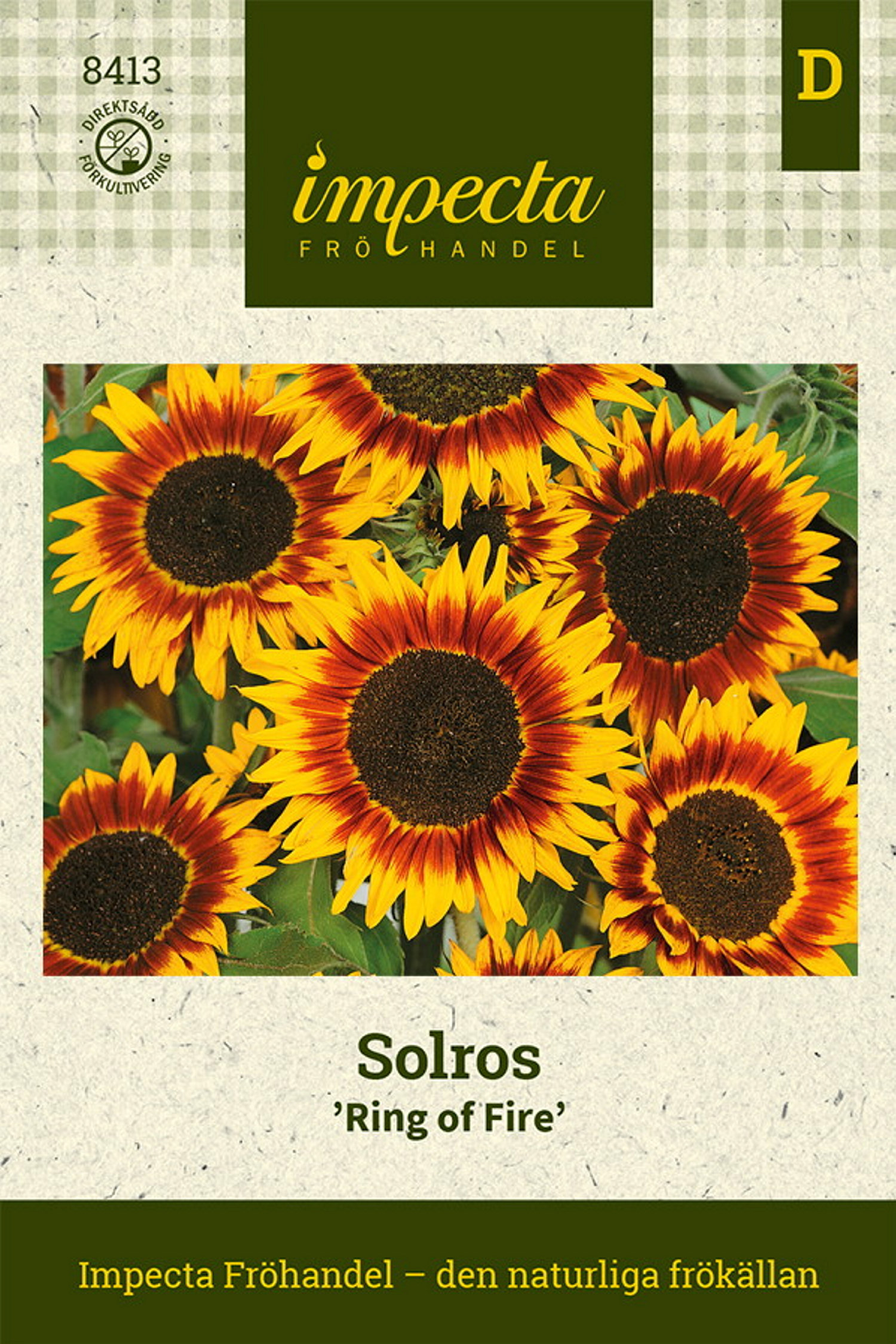 Solros 'Ring Of Fire'