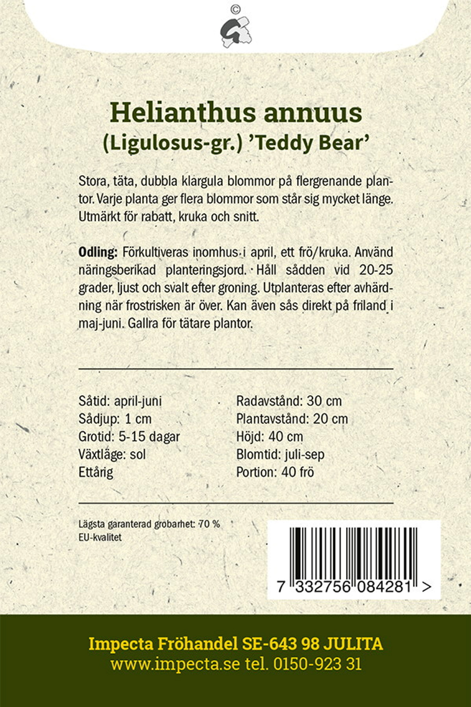 Fylld Solros 'Teddy Bear'