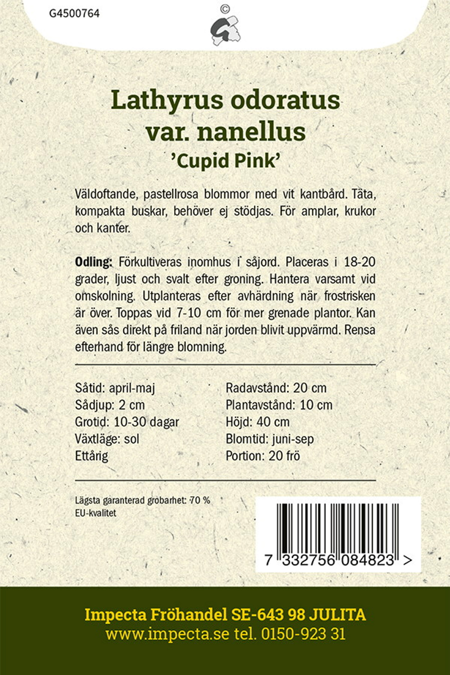 Dvärgluktärt 'Cupid Pink'