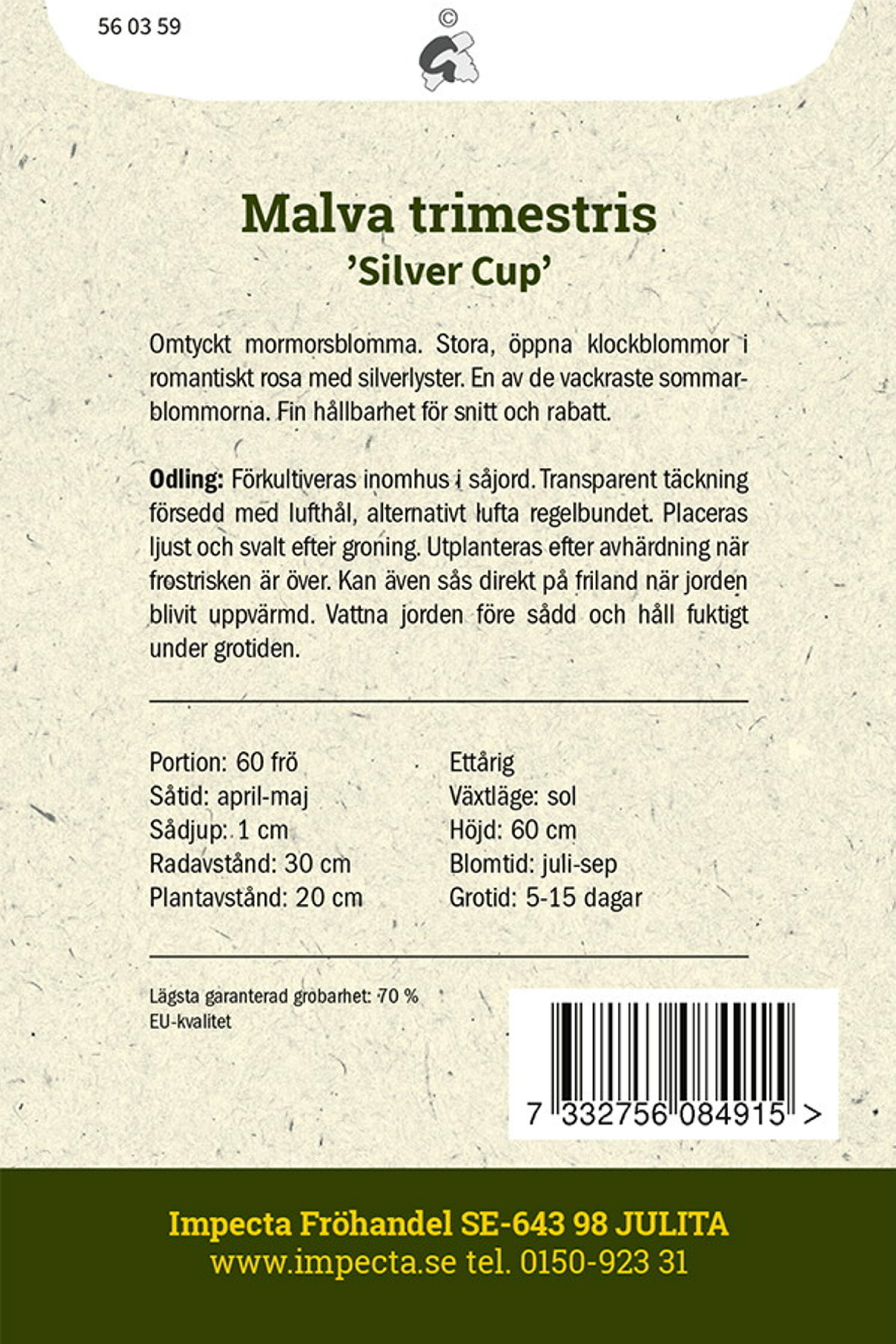 Sommarmalva 'Silver Cup'