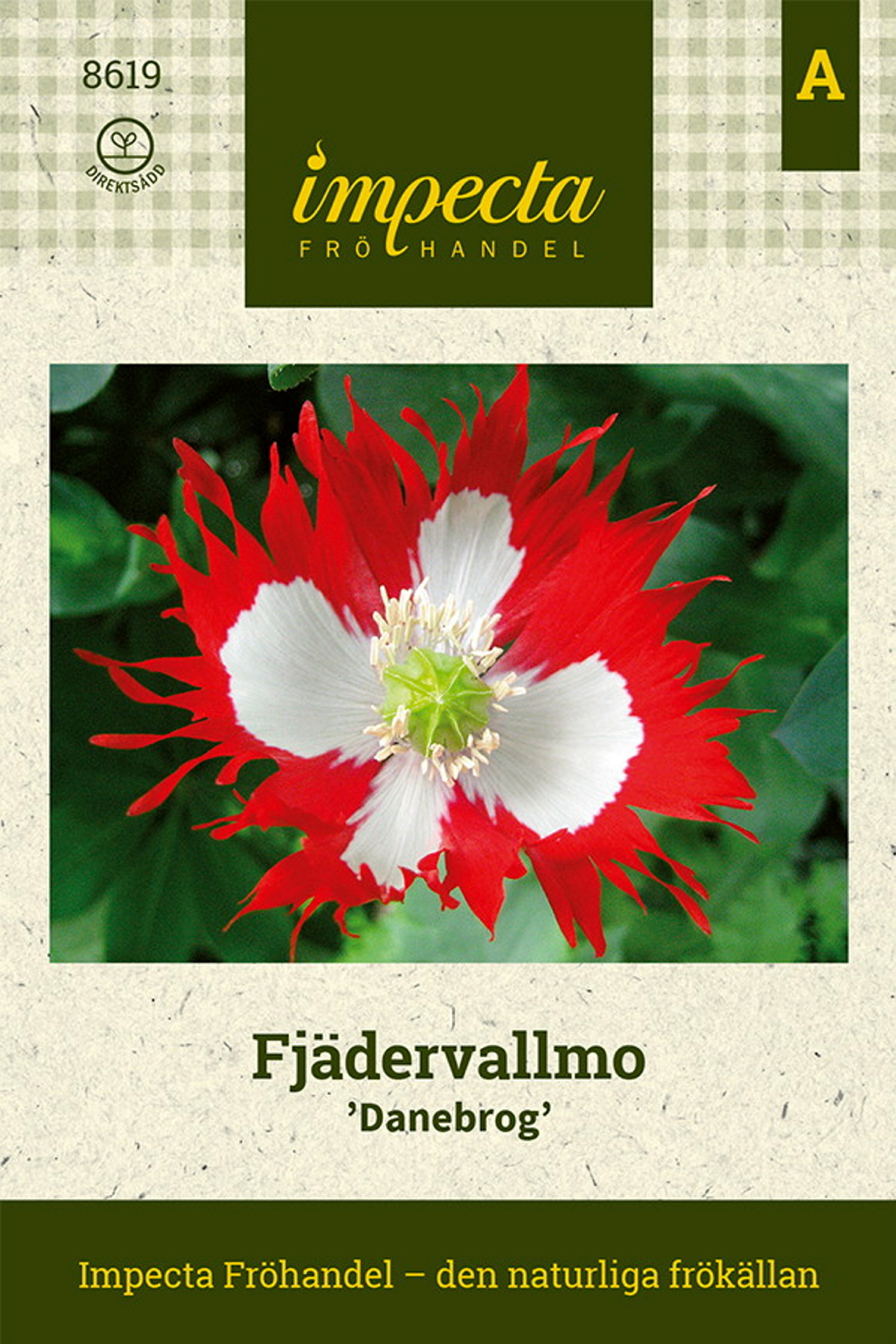 Fjærvalmue 'Danebrog'