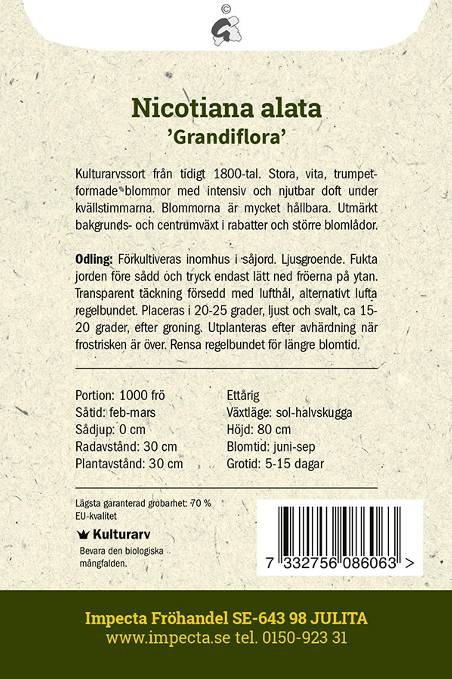 Stor Blomstertobak 'Grandiflora'