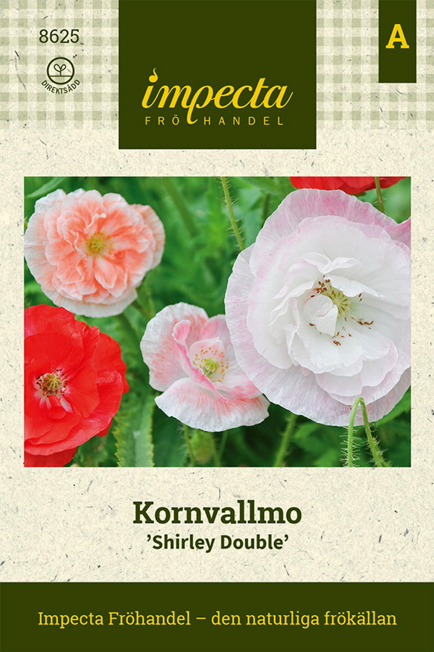 Kornvallmo 'Shirley Double'