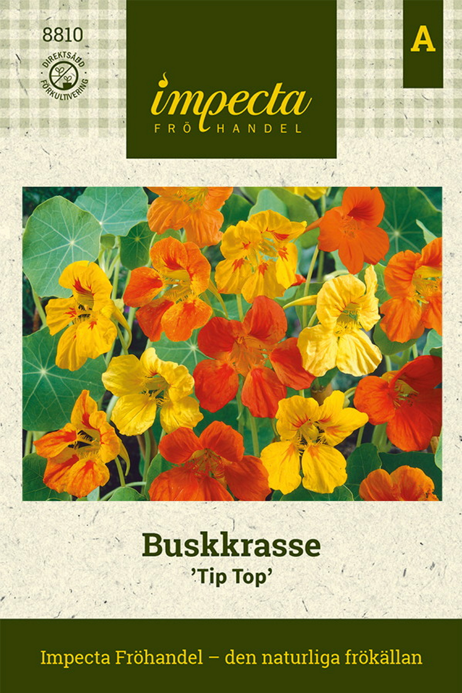 Buskkarse 'Tip Top'