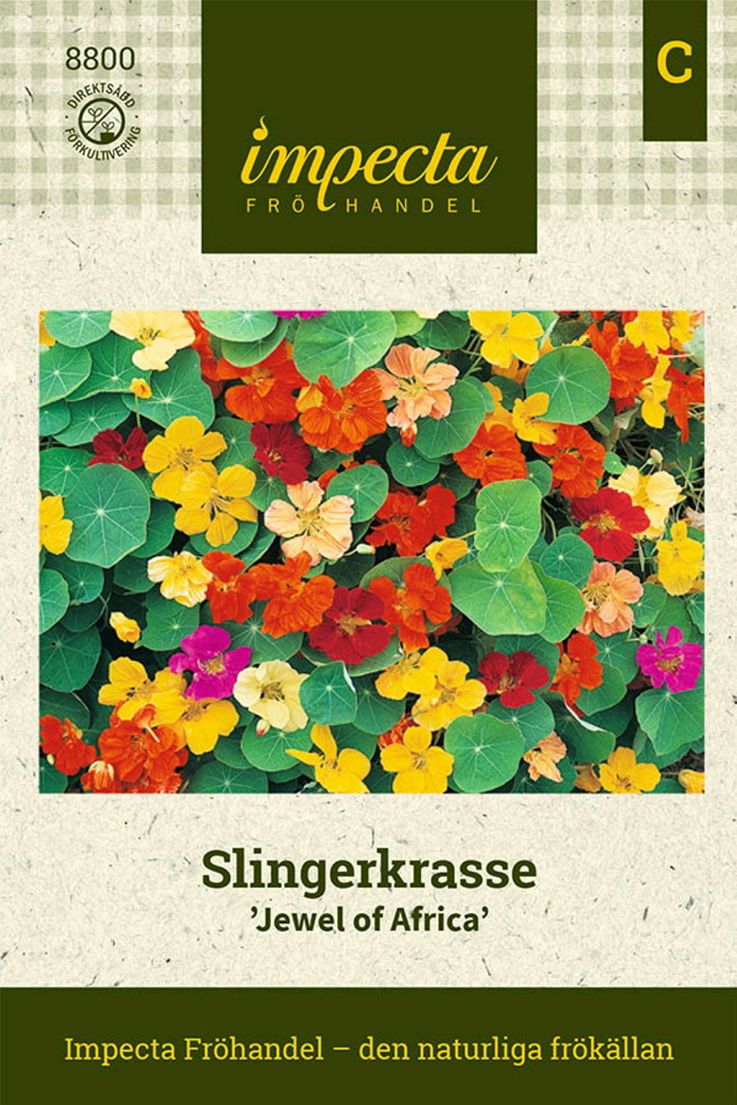 Slingerkrasse 'Jewel Of Africa'