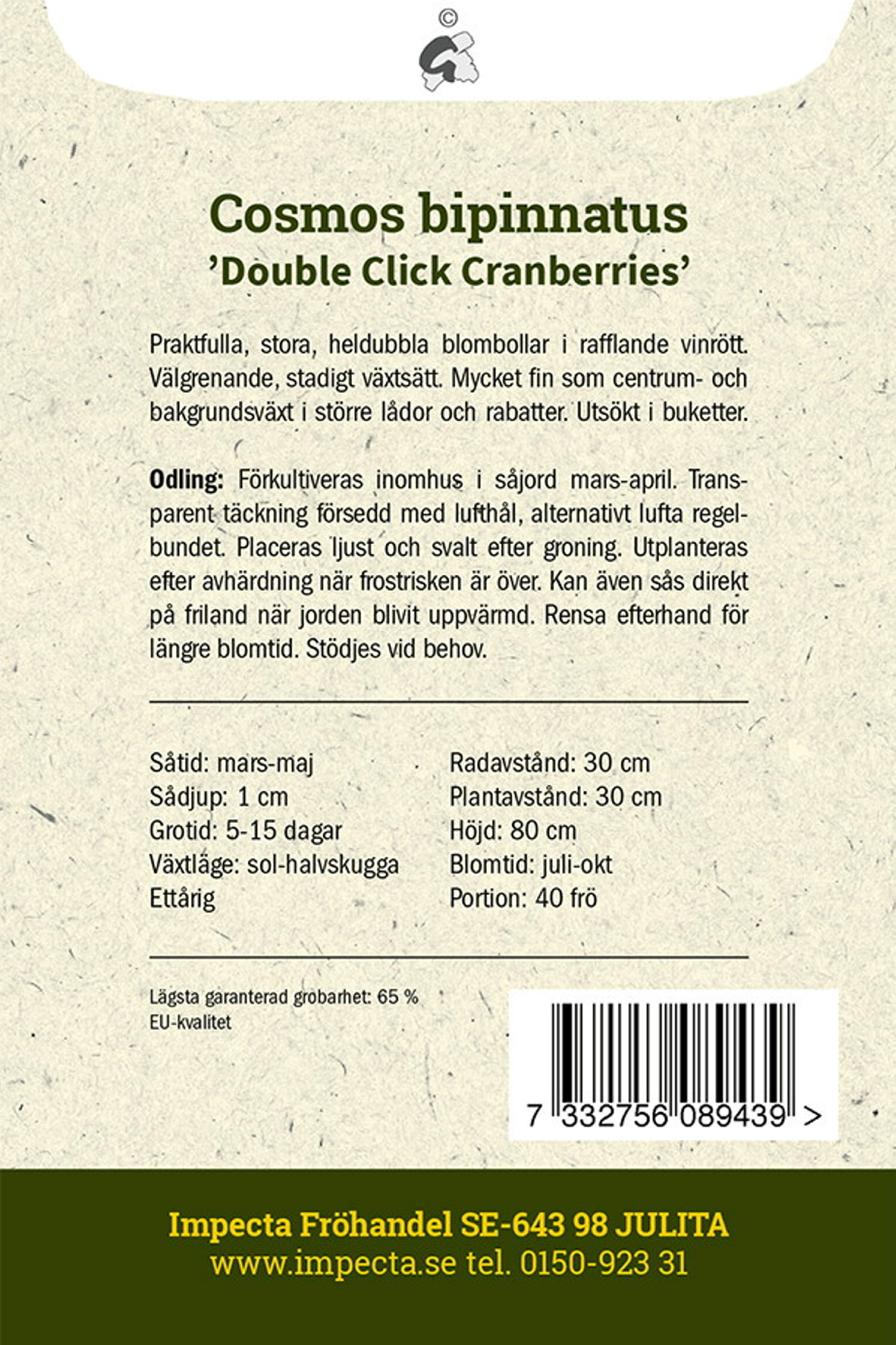 Cosmos bipinnatus 'Double Click Cranberries'