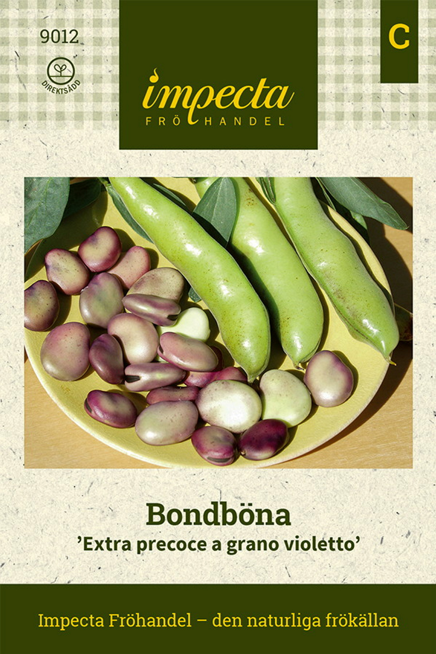 Vicia faba 'Extra precoce a grano violetto'