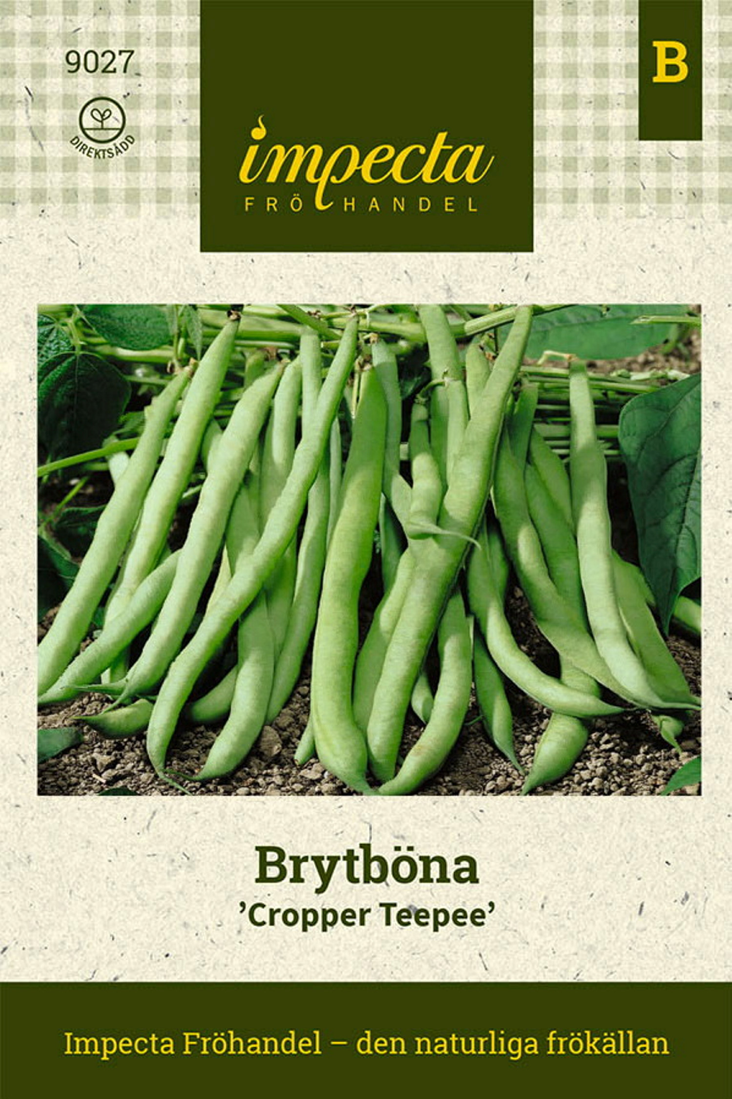 Brytböna 'Cropper Teepee'