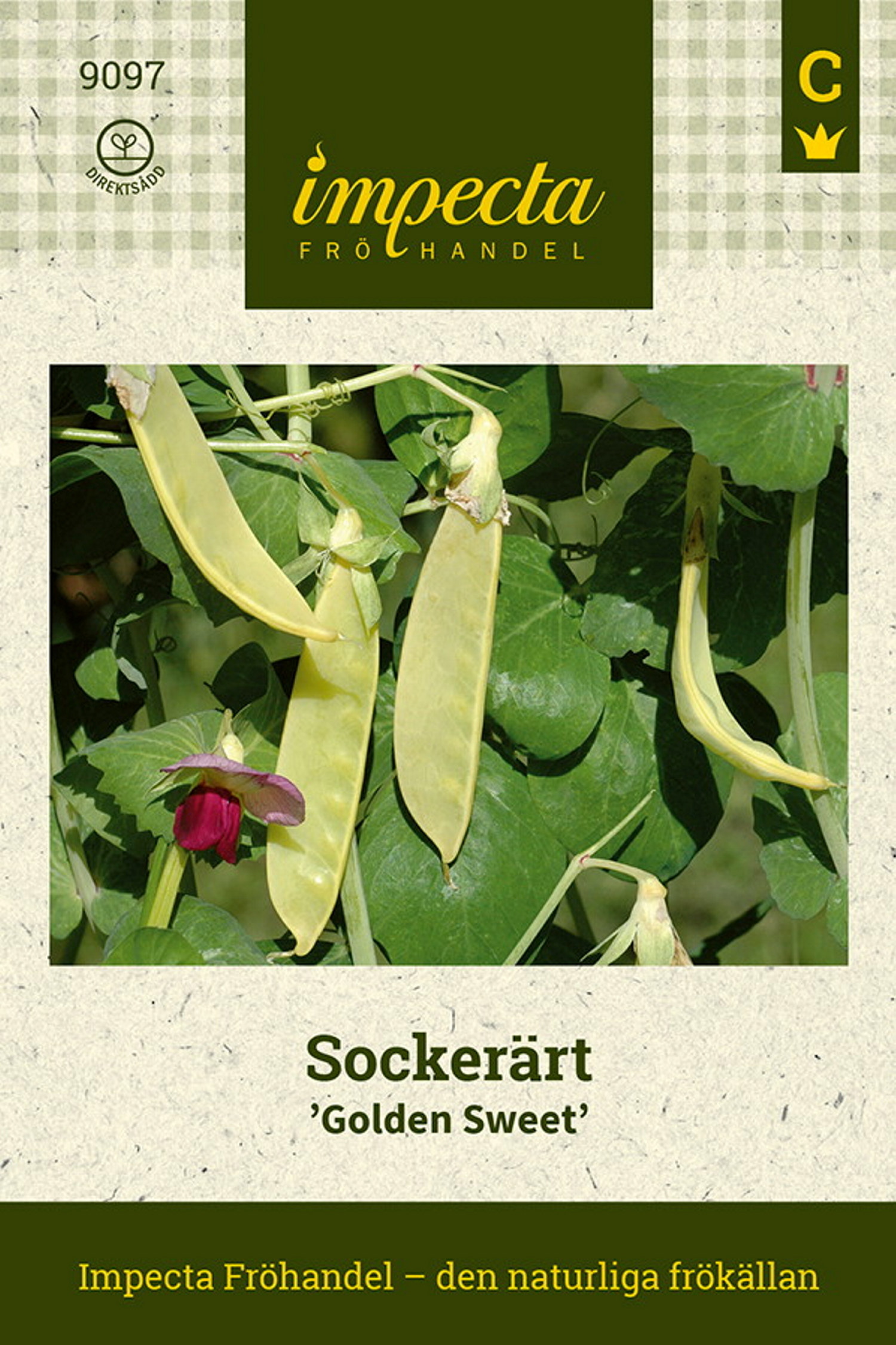 Sockerärt 'Golden Sweet'
