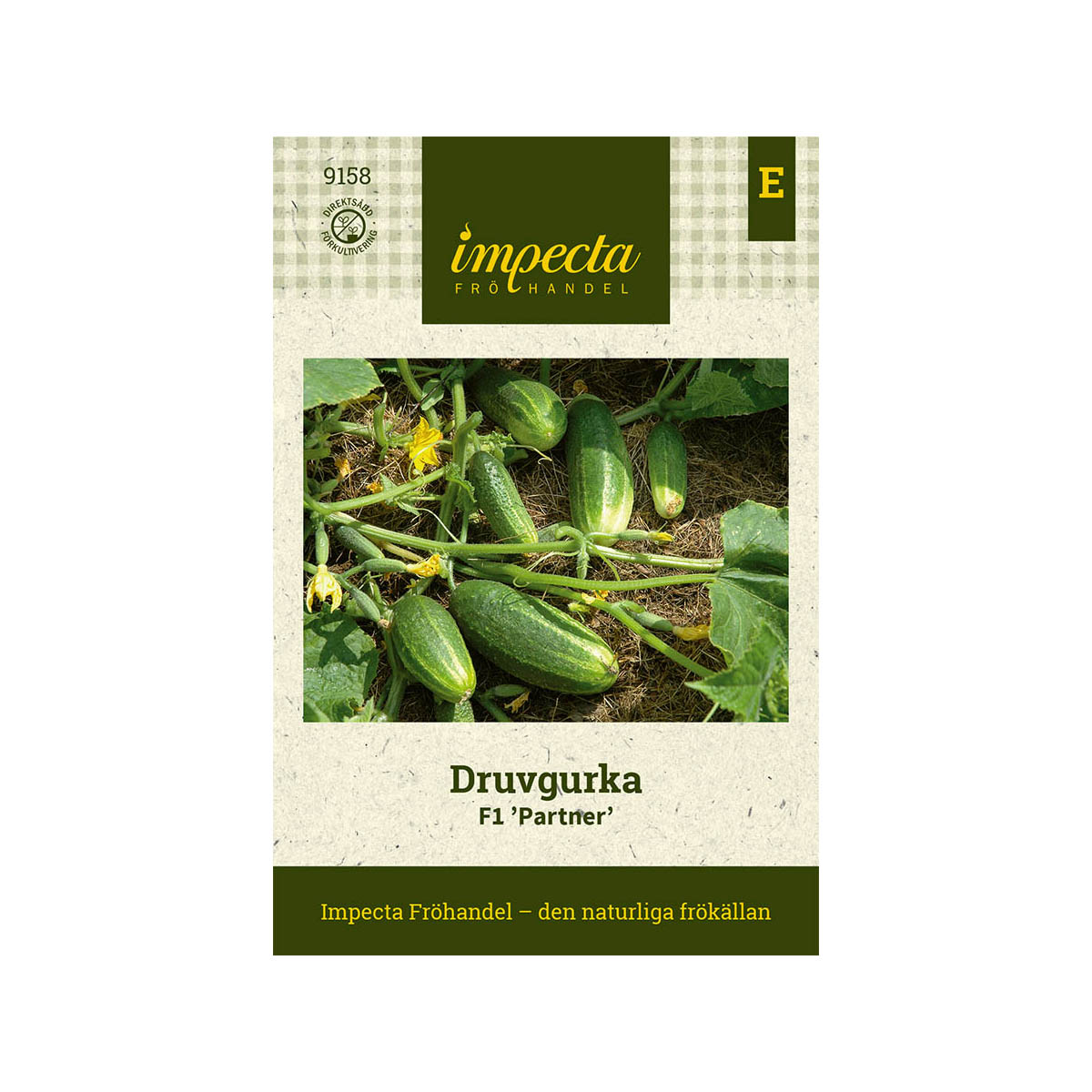 Druvgurka F1 'Partner'